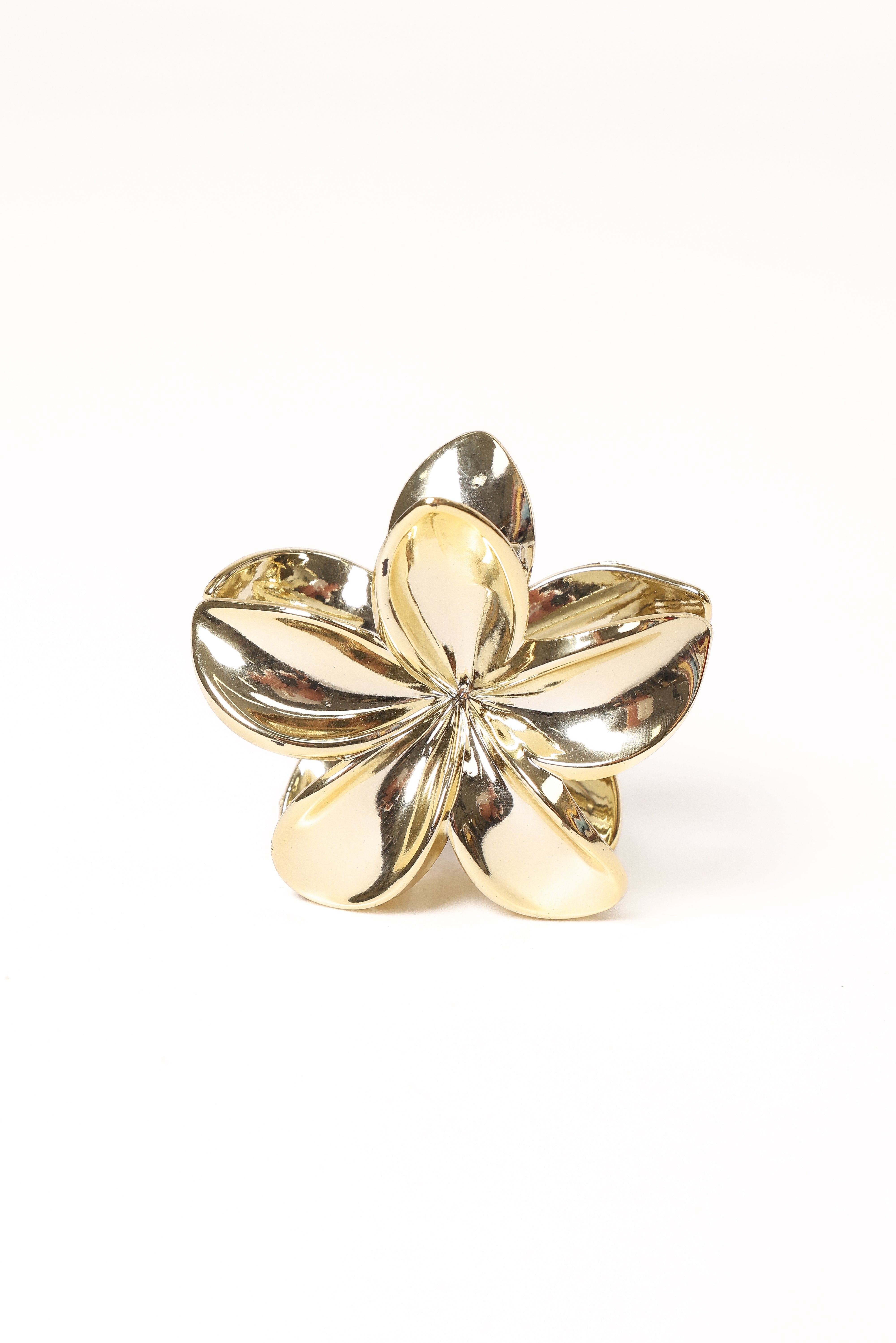  Tiarne Hair Clip - Gold、mySite、sugarbowlscore