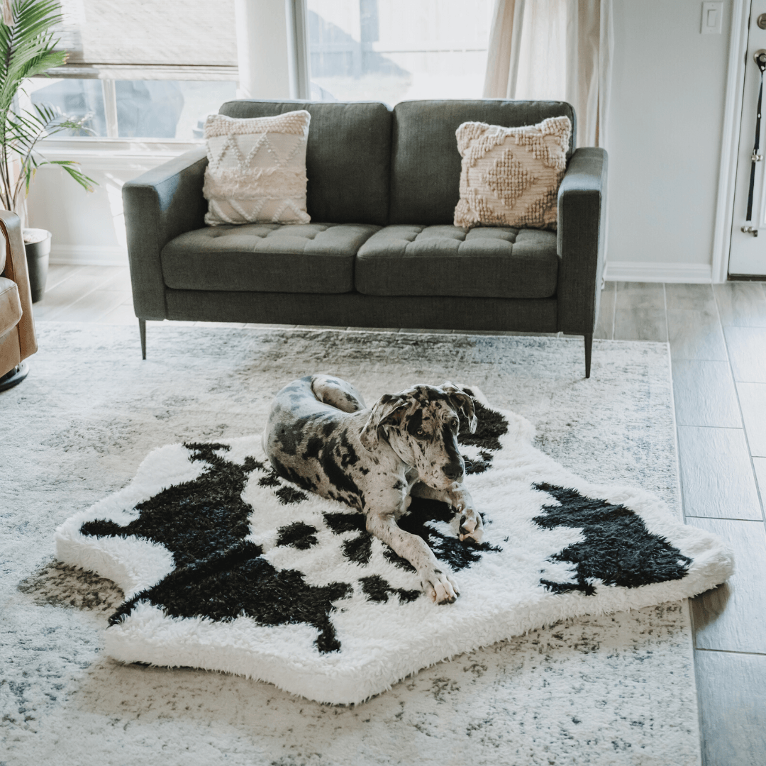 PupRug™ Animal Print Memory Foam Dog Bed - Black Faux Cowhide、mySite、solidvoid
