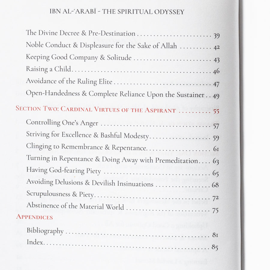 The Spiritual Odyssey: Unveiling the Essence of the Path、mySite、topwebapps