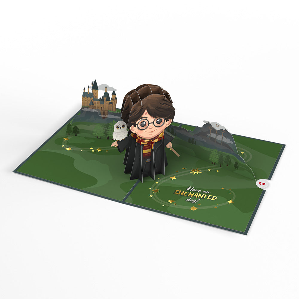 Harry Potter™ The Chosen One Birthday Pop-Up Card、mySite、solidvoid
