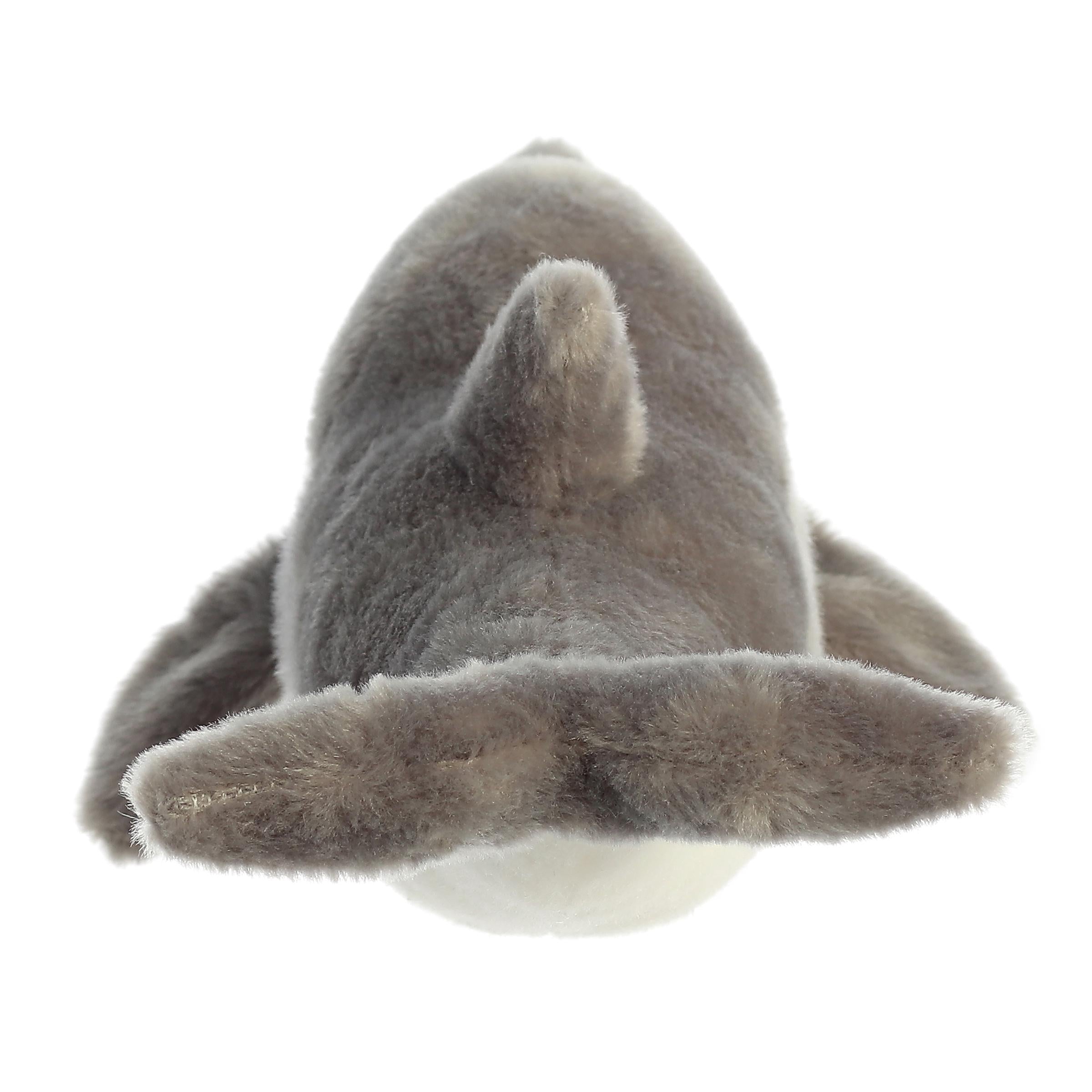 Aurora® - Eco Nation™ - 15 Dolphin、mySite、g9winljtr