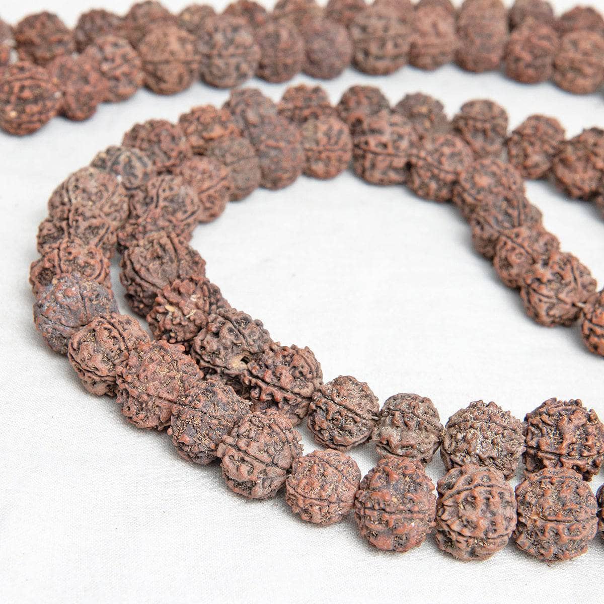 Maha Rudraksha Mala、mySite、hinf8tx79