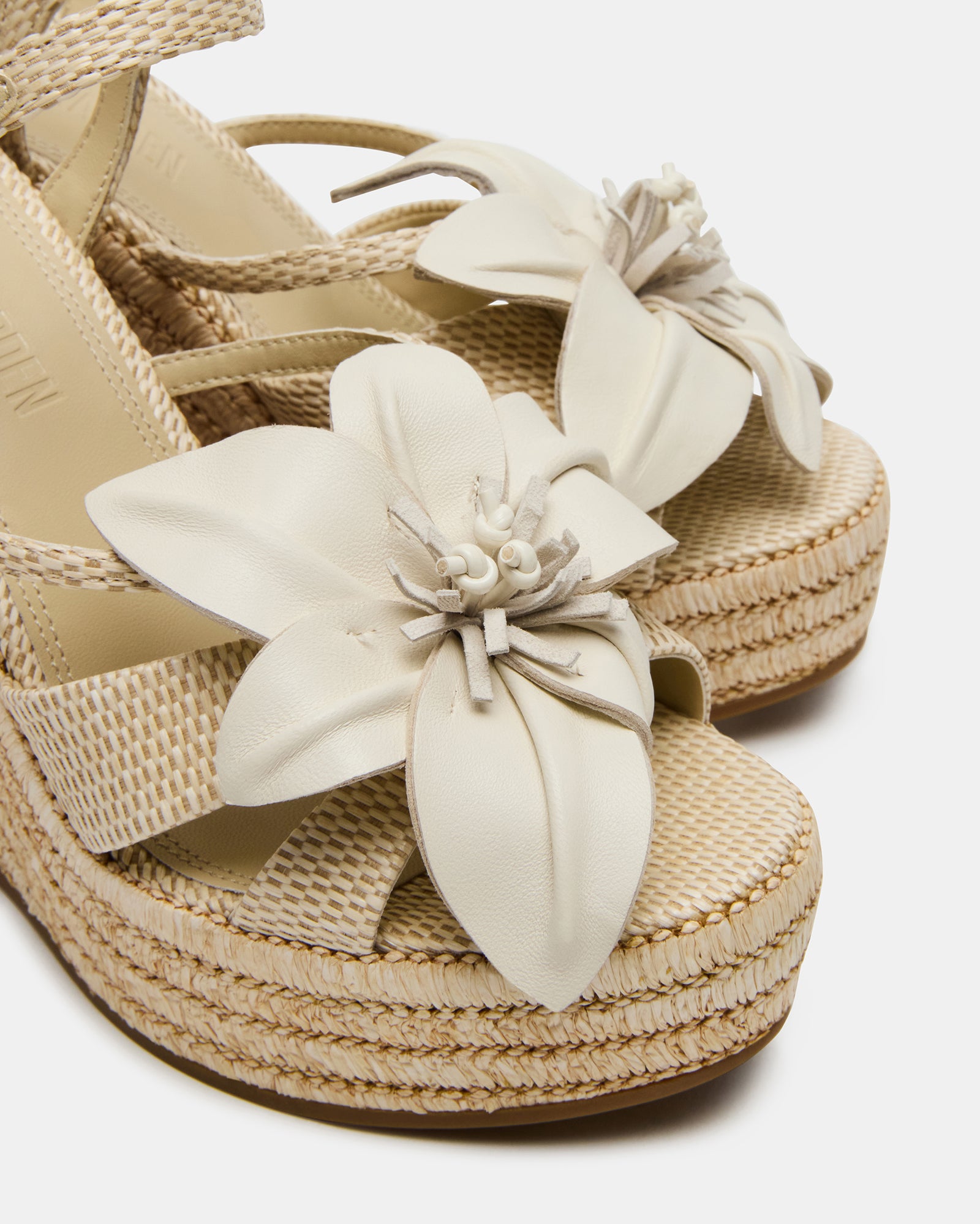 FLORENTINA BONE、mySite、gtrtttuynbv