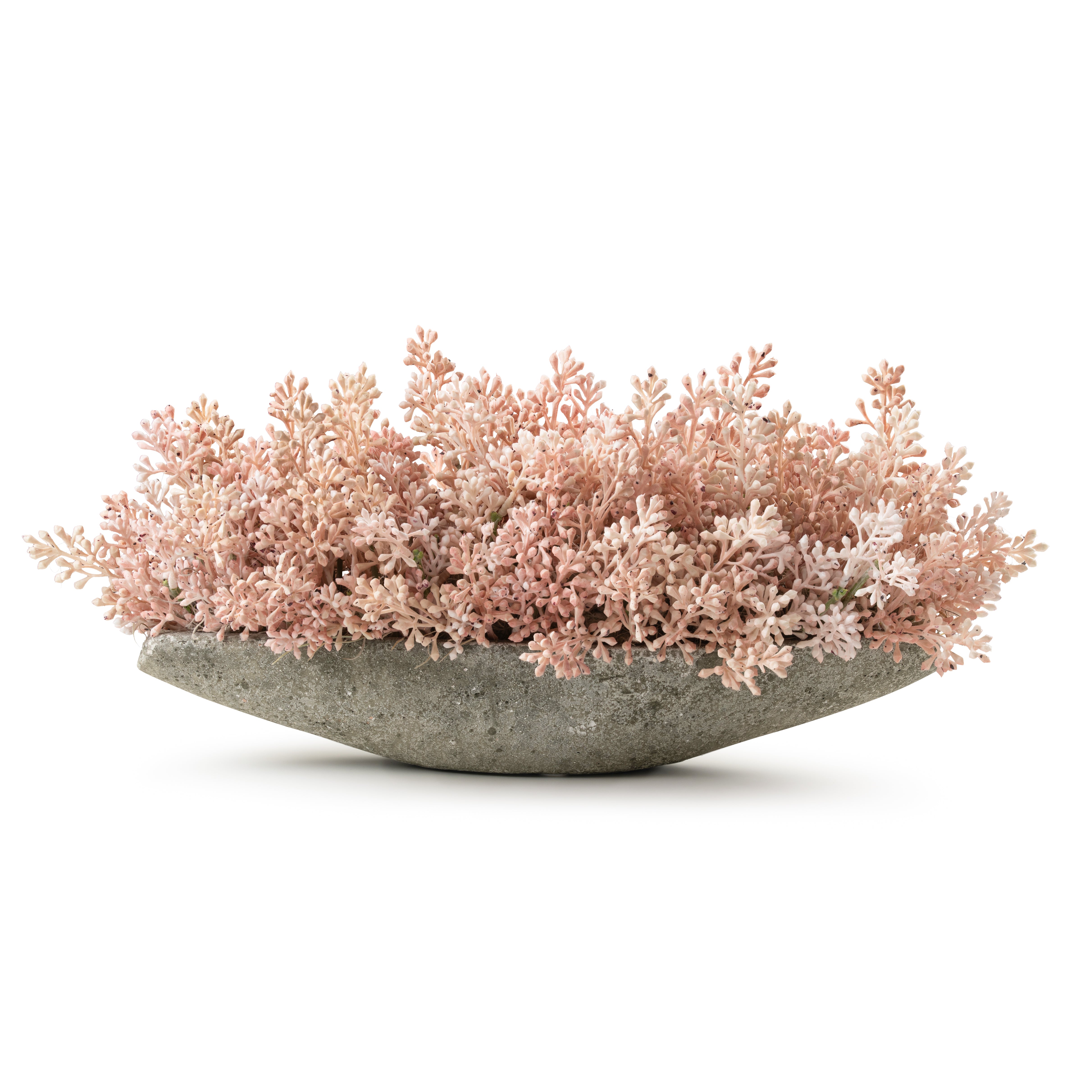  DH Callisia Pink Seeded Arrangement、mySite、elrpsem3k