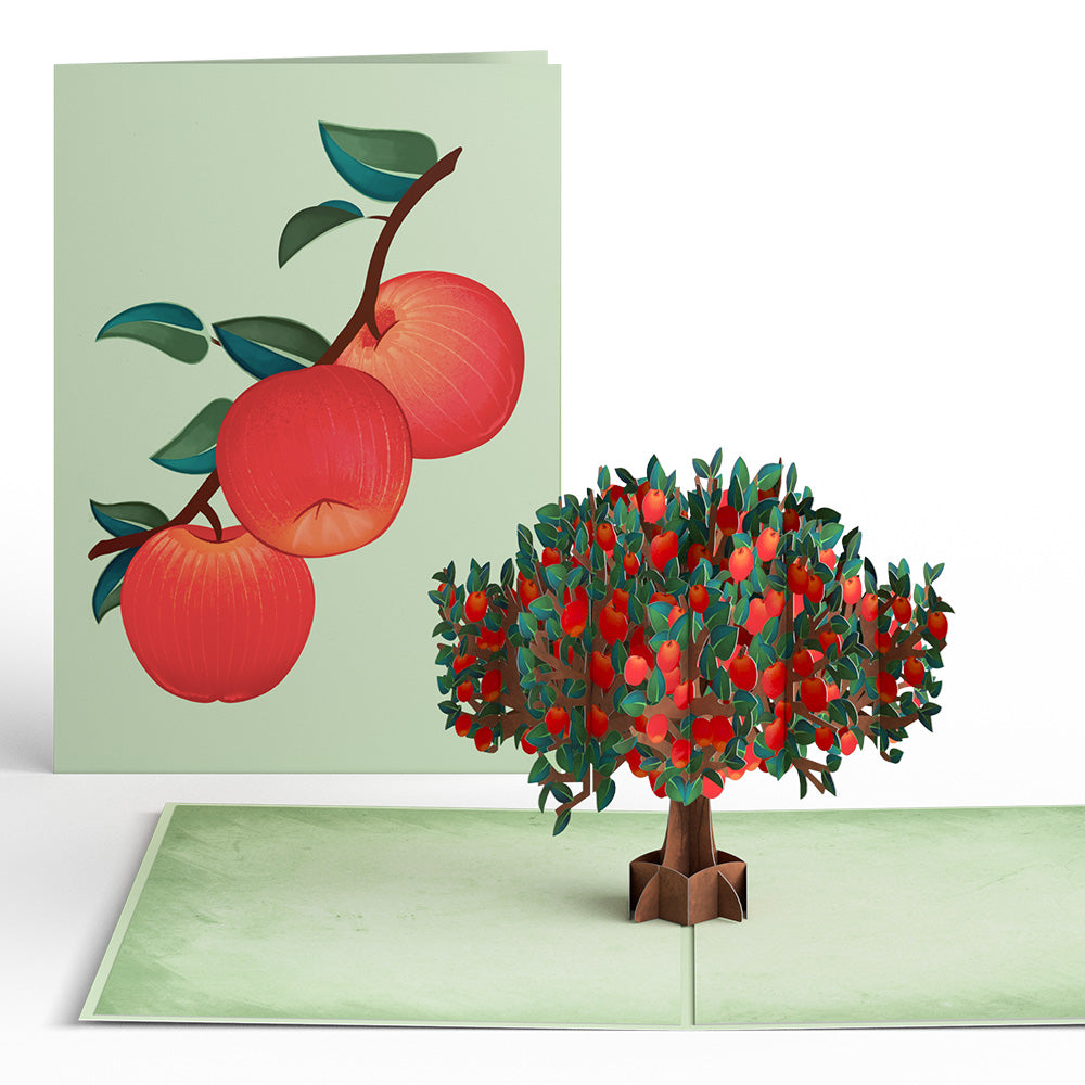 Apple Tree Pop-Up Card、mySite、solidvoid