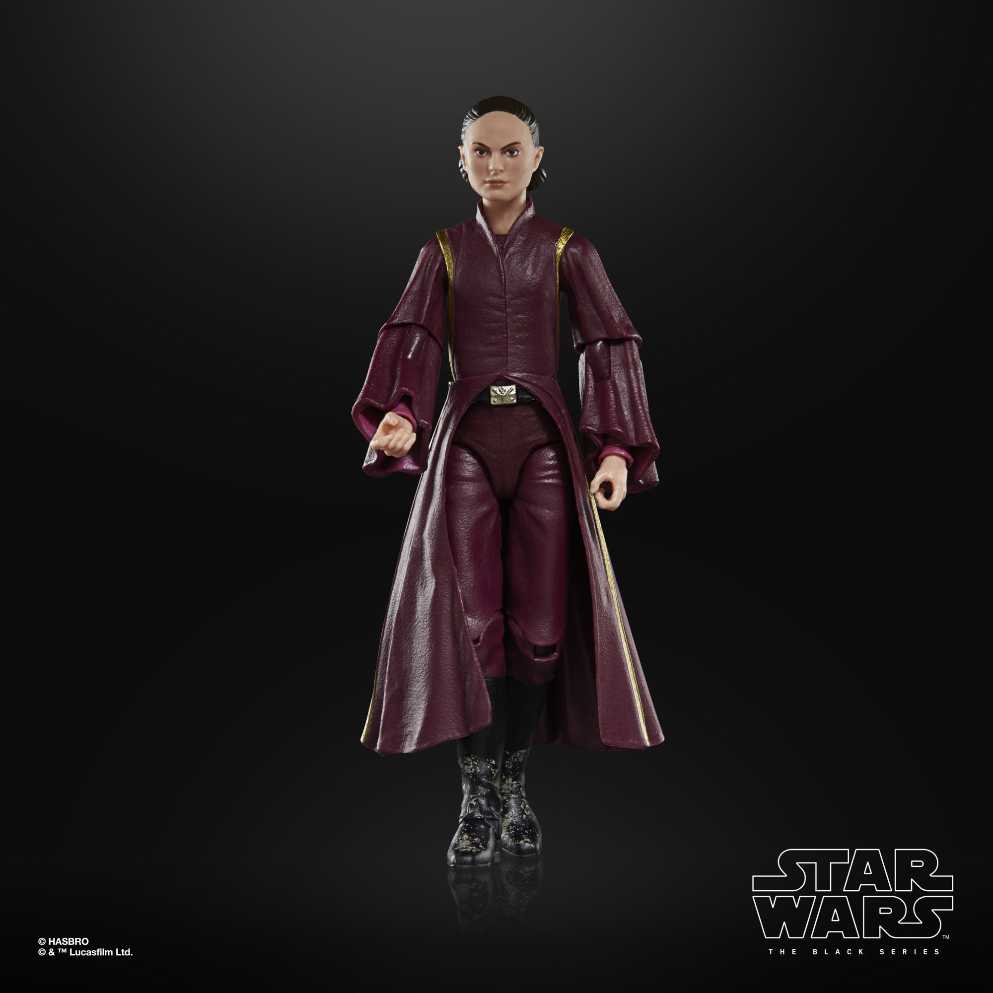 Star Wars Black Series Padme Amidala、mySite、hgirdovlk