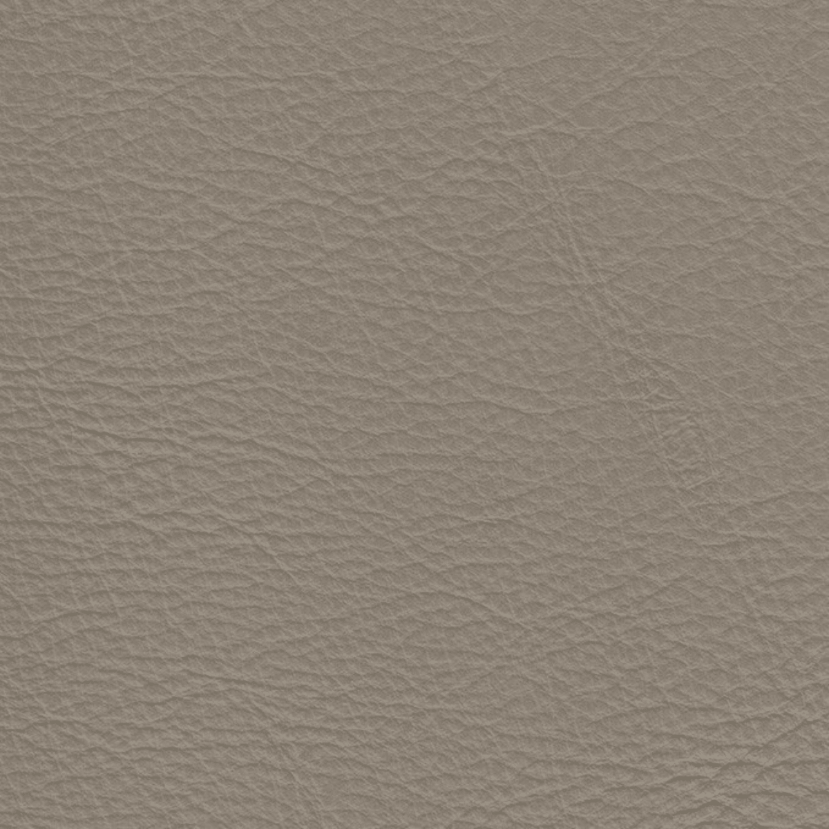 Slate、mySite、neckold