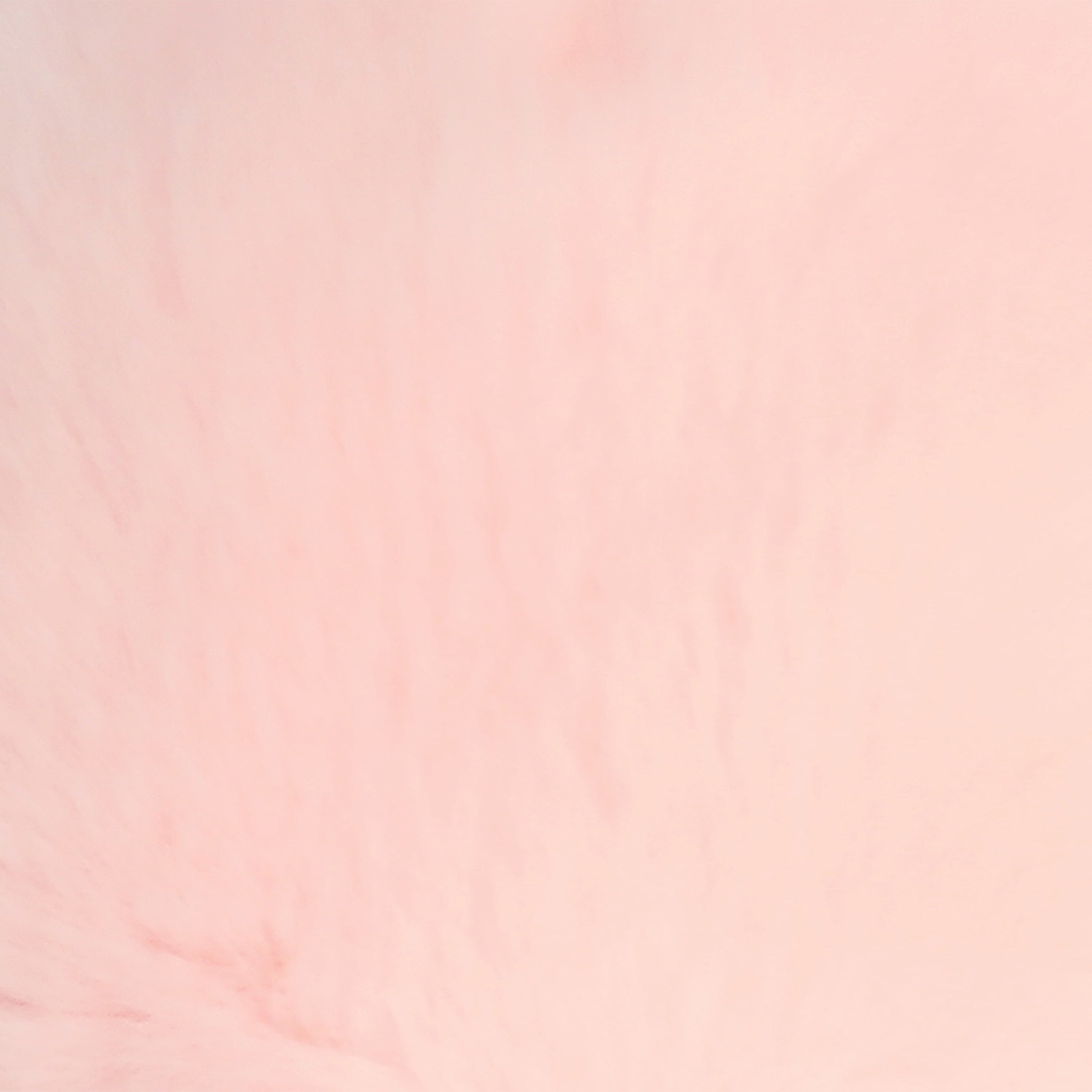 Aurora® - 9 Fungi Friends™、mySite、g9winljtr