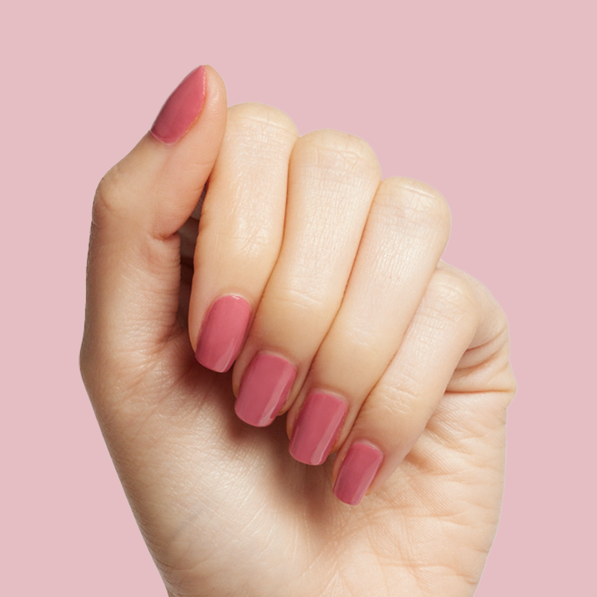 Primrose、mySite、solidvoid