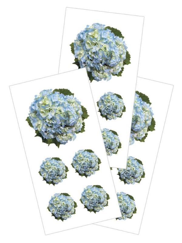  Decorative Stickers - Hydrangea、mySite、ghnorth