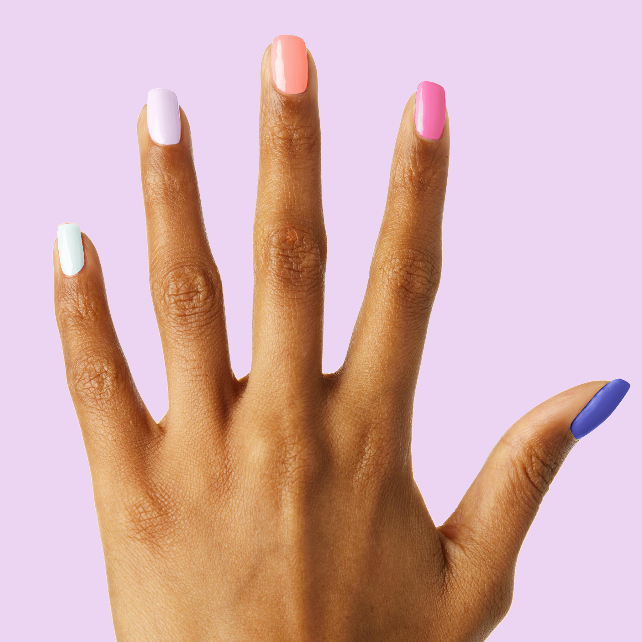 Gelato Shop、mySite、solidvoid