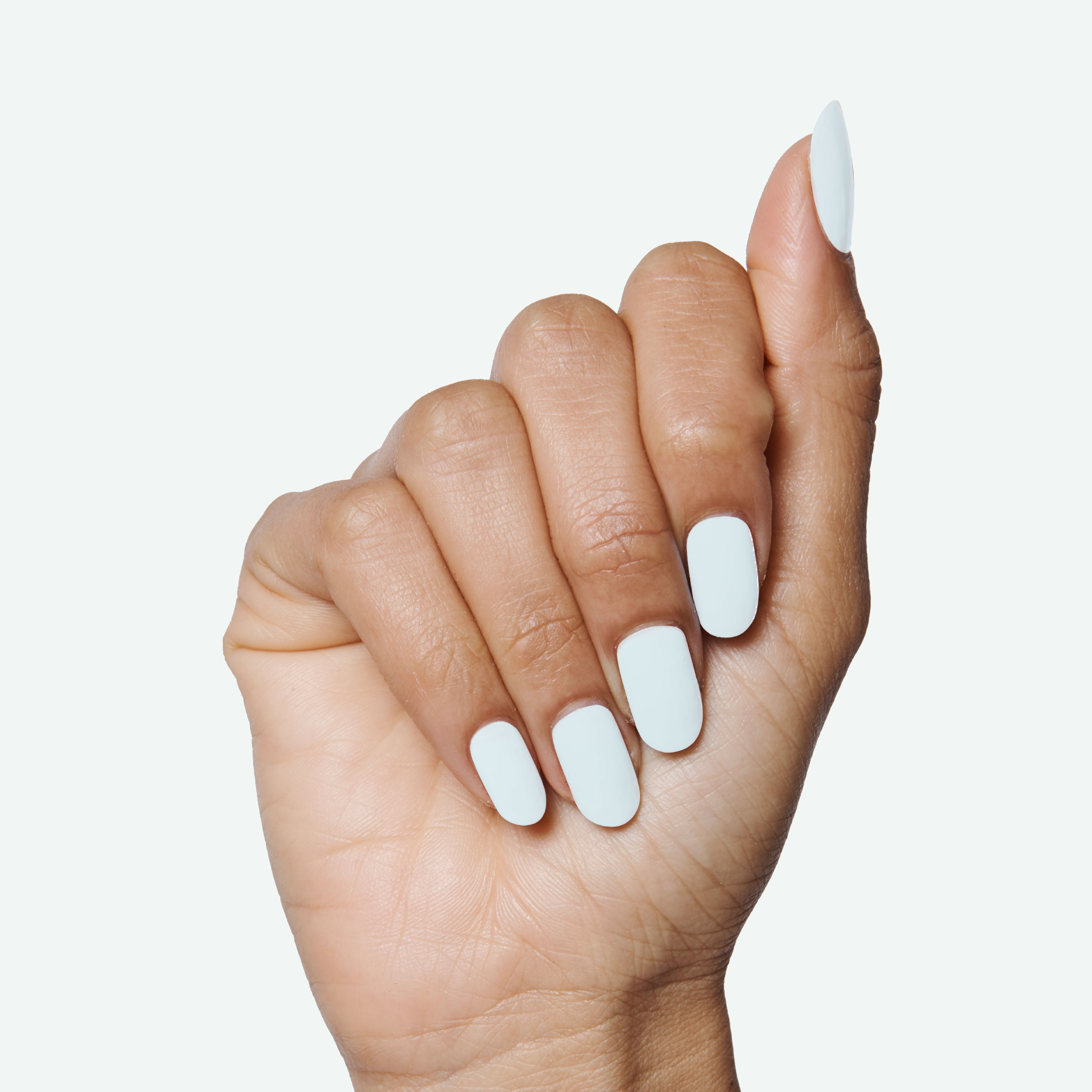 Angelfish、mySite、solidvoid