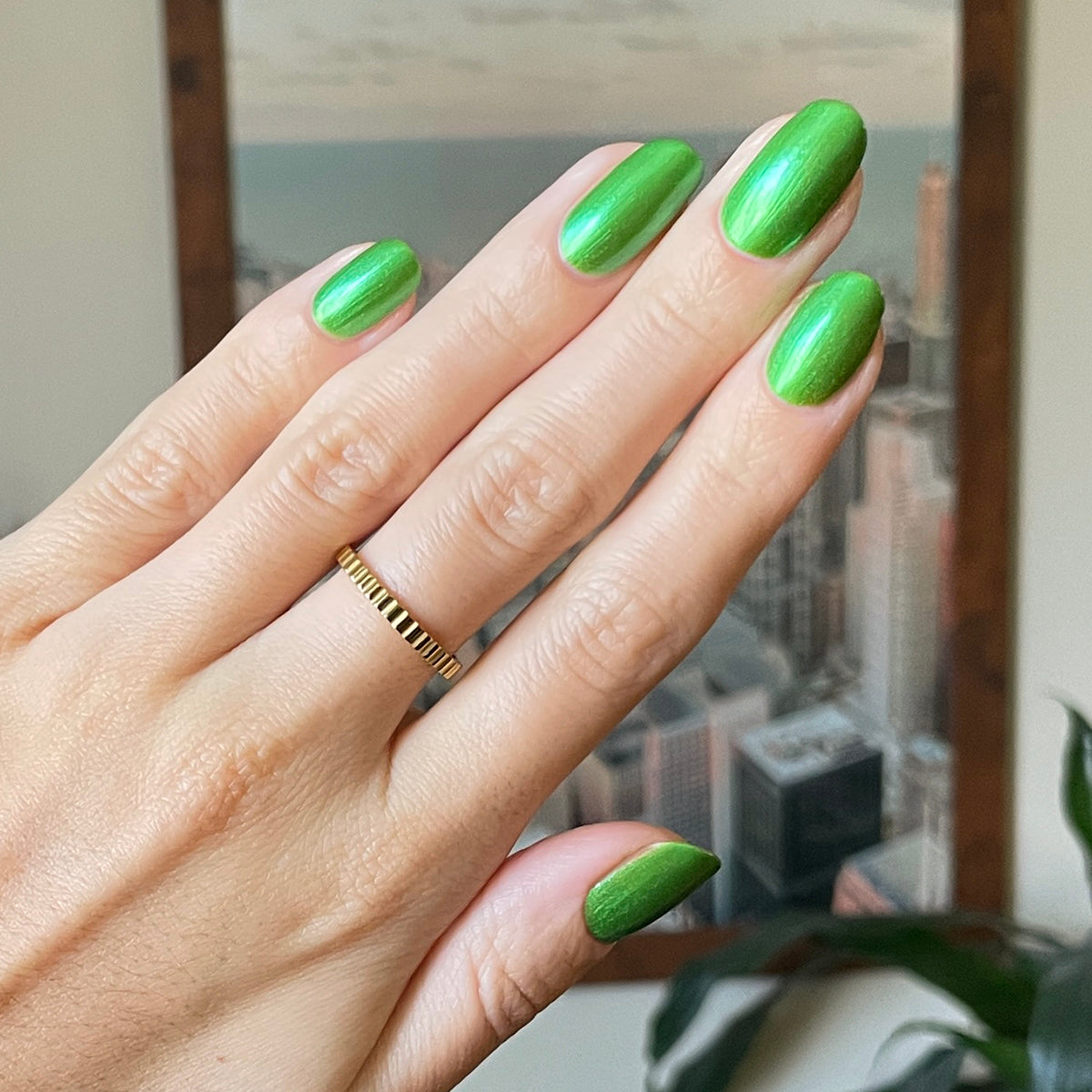 Because I'm Green、mySite、solidvoid