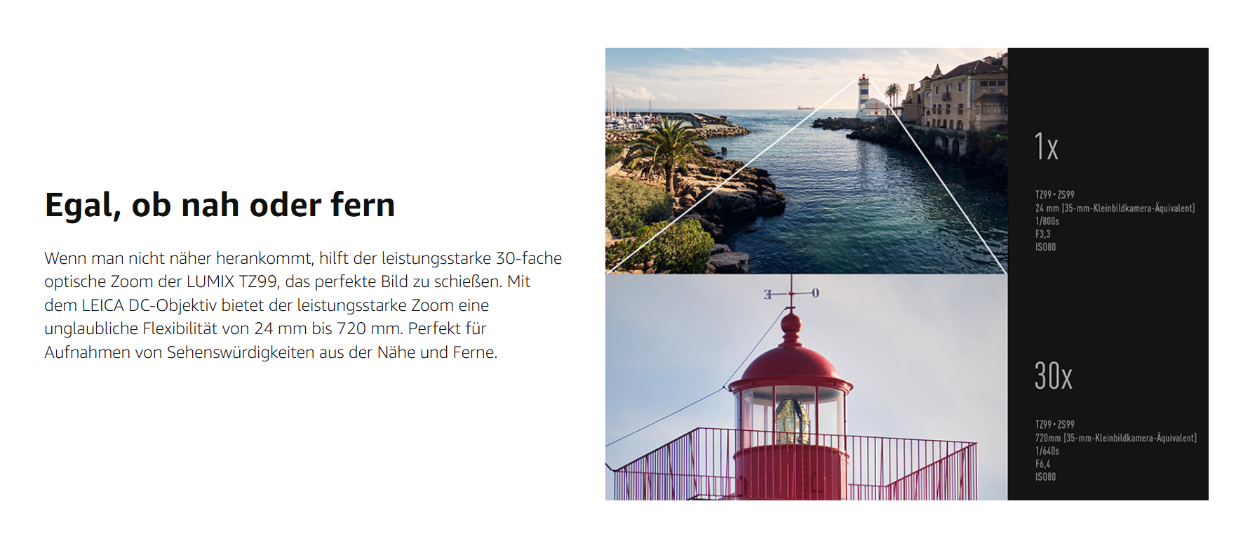 Pasted Image