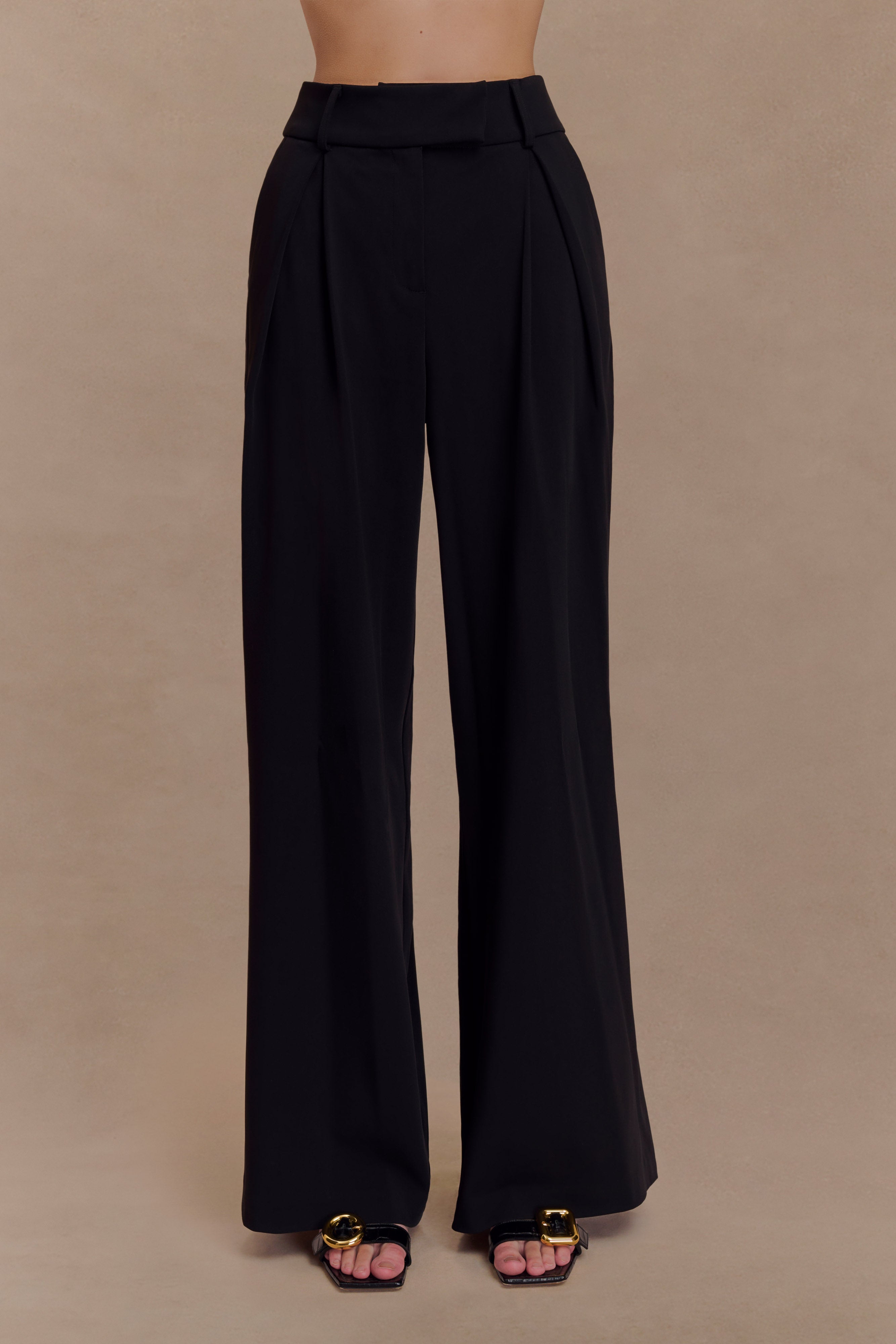 Jacqueline Pleated Wide Leg Pants - Black、mySite、solidvoid
