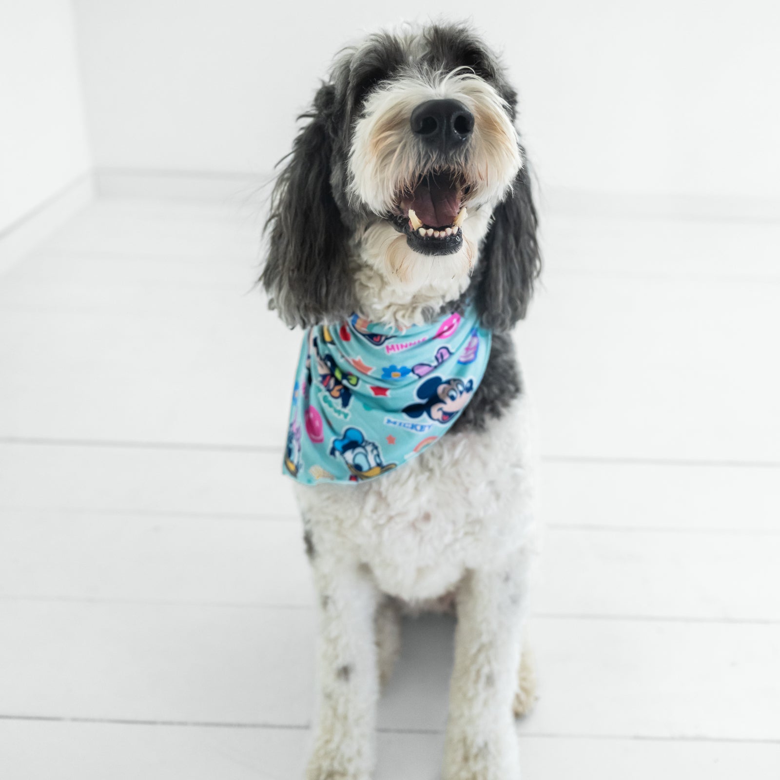 Pink Disney Mickey's Clubhouse Pet Bandana、mySite、g9winljtr