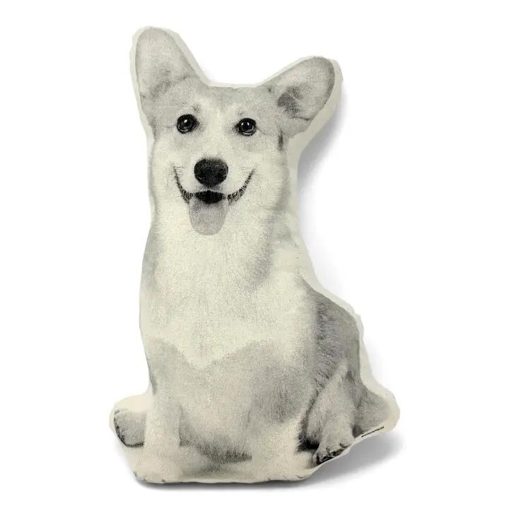 Corgi Pillow、mySite、g9winljtr