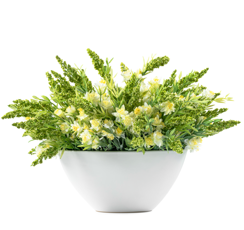  DH Heather Wild Arrangement、mySite、elrpsem3k