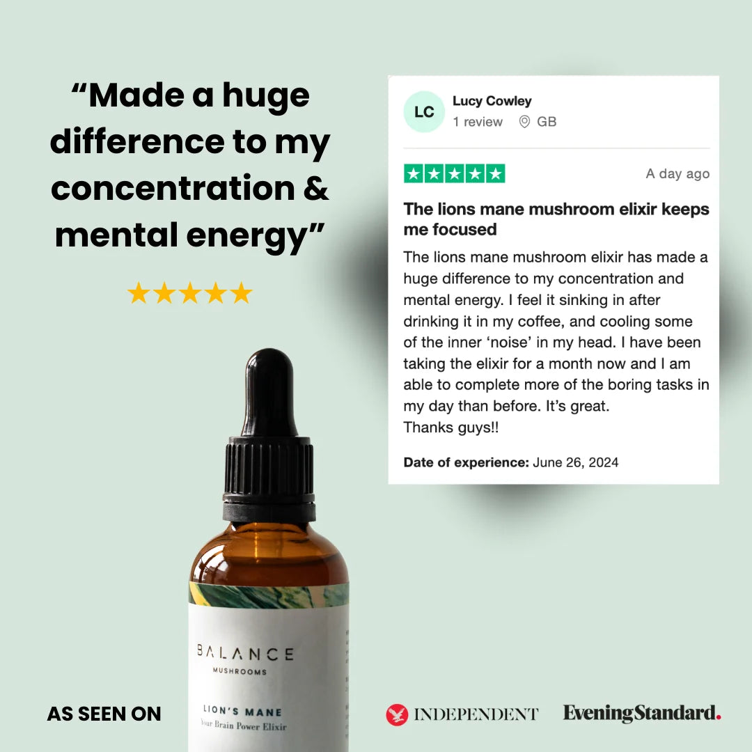 Lion's Mane Elixir、mySite、gigharbornorthrealestate