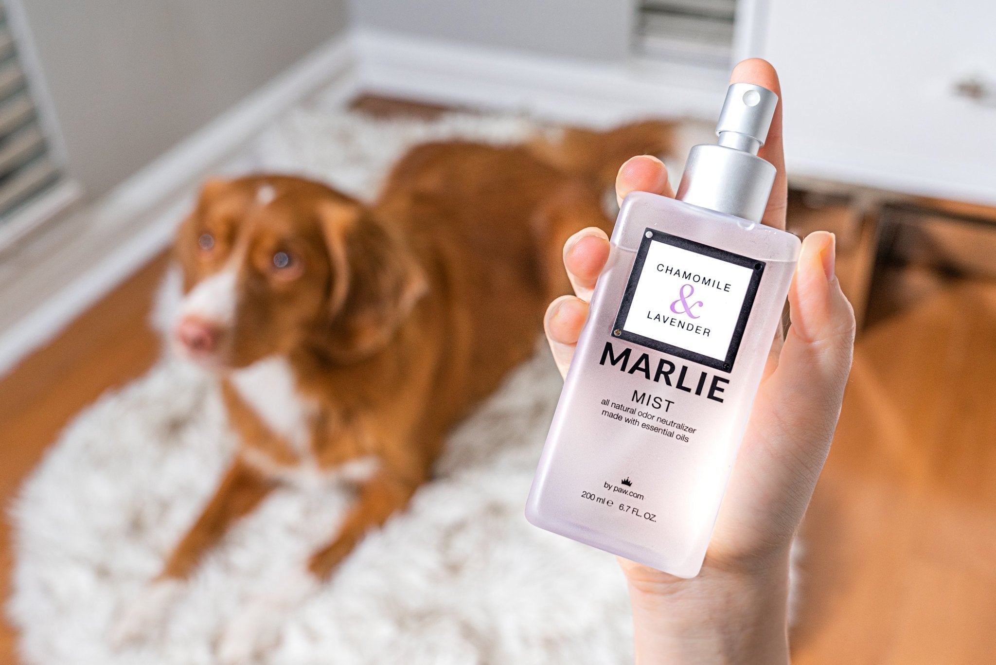 Marlie Mist Pet Odor Eliminator Spray with Essential Oils、mySite、solidvoid
