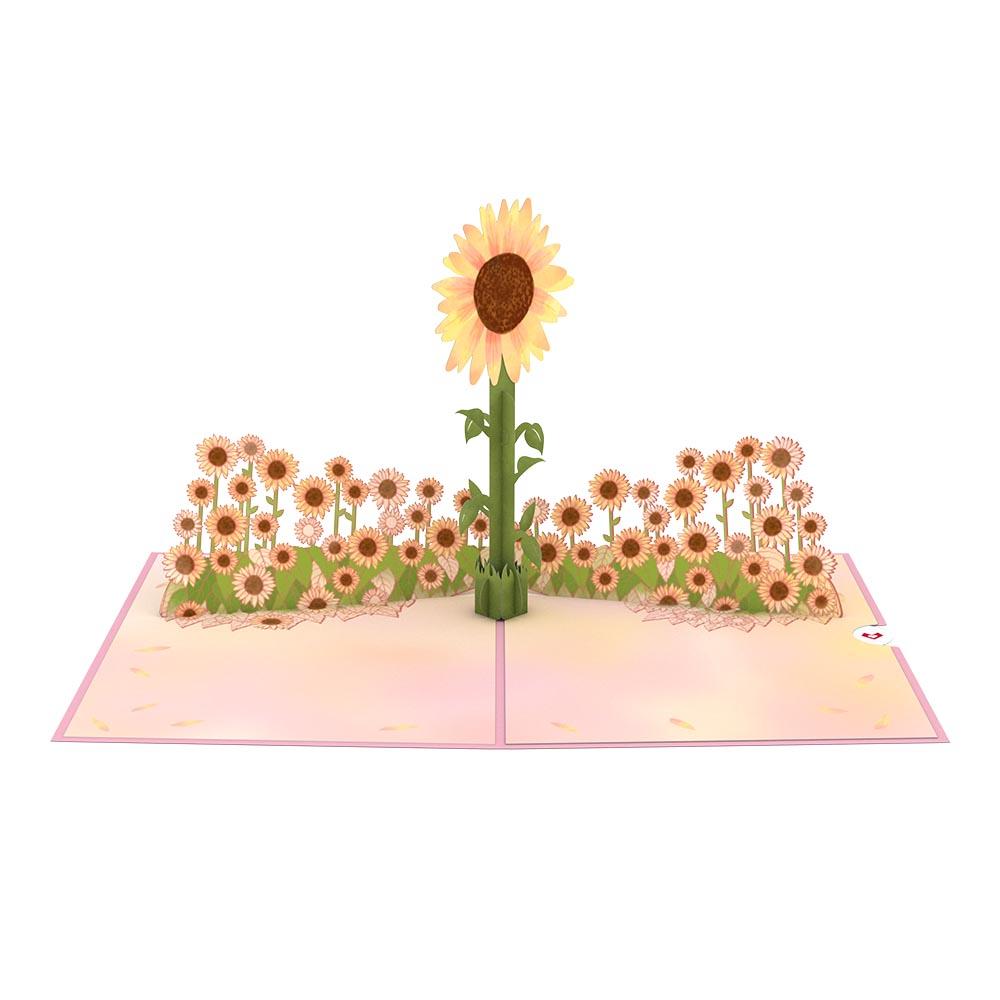 Sunflower Bundle、mySite、solidvoid