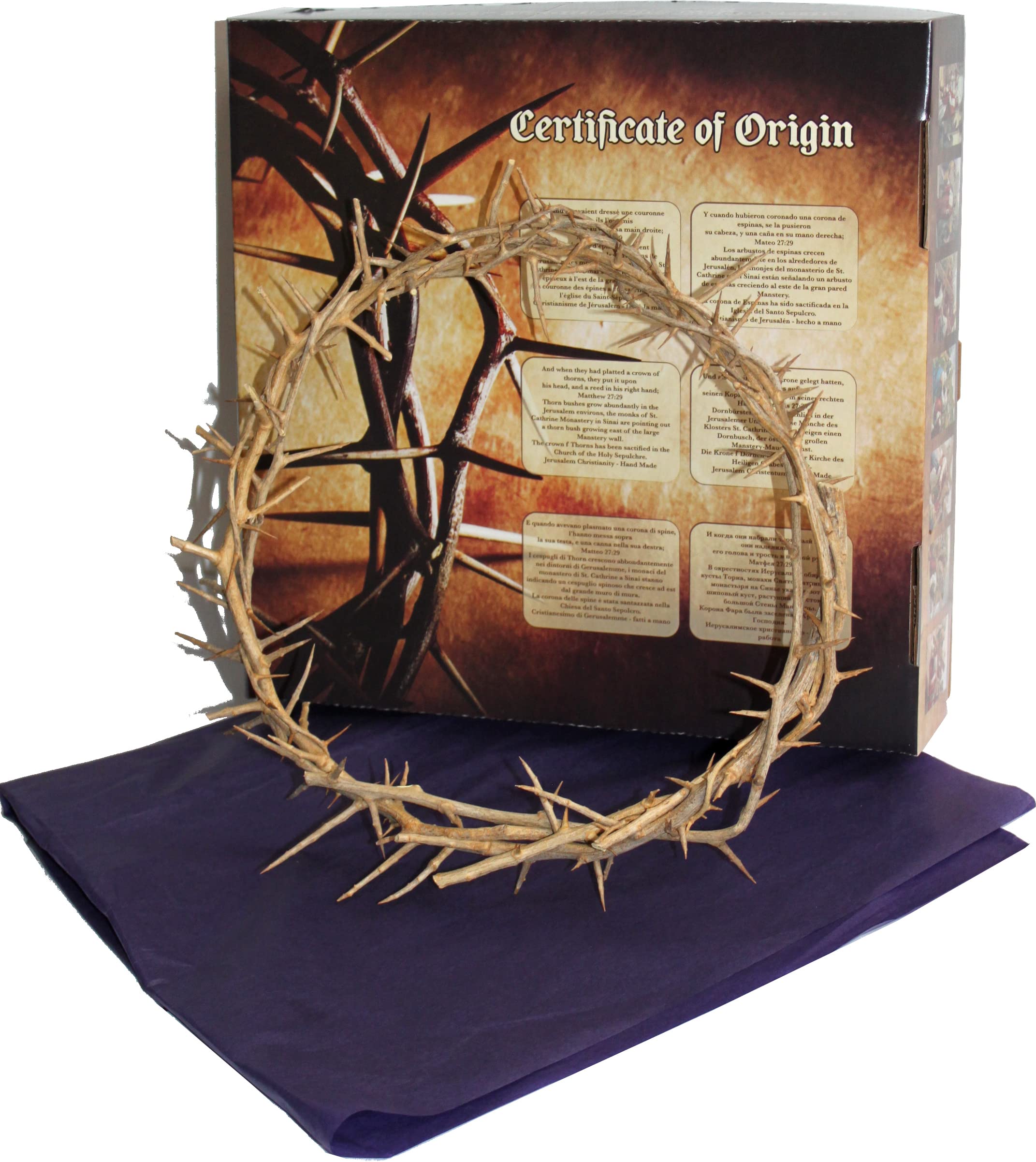  Holy Land Market Authentic Crown of Thorns from The Holy Land - in Gift Box (10-11 Inches)、mySite、elrpsem3k