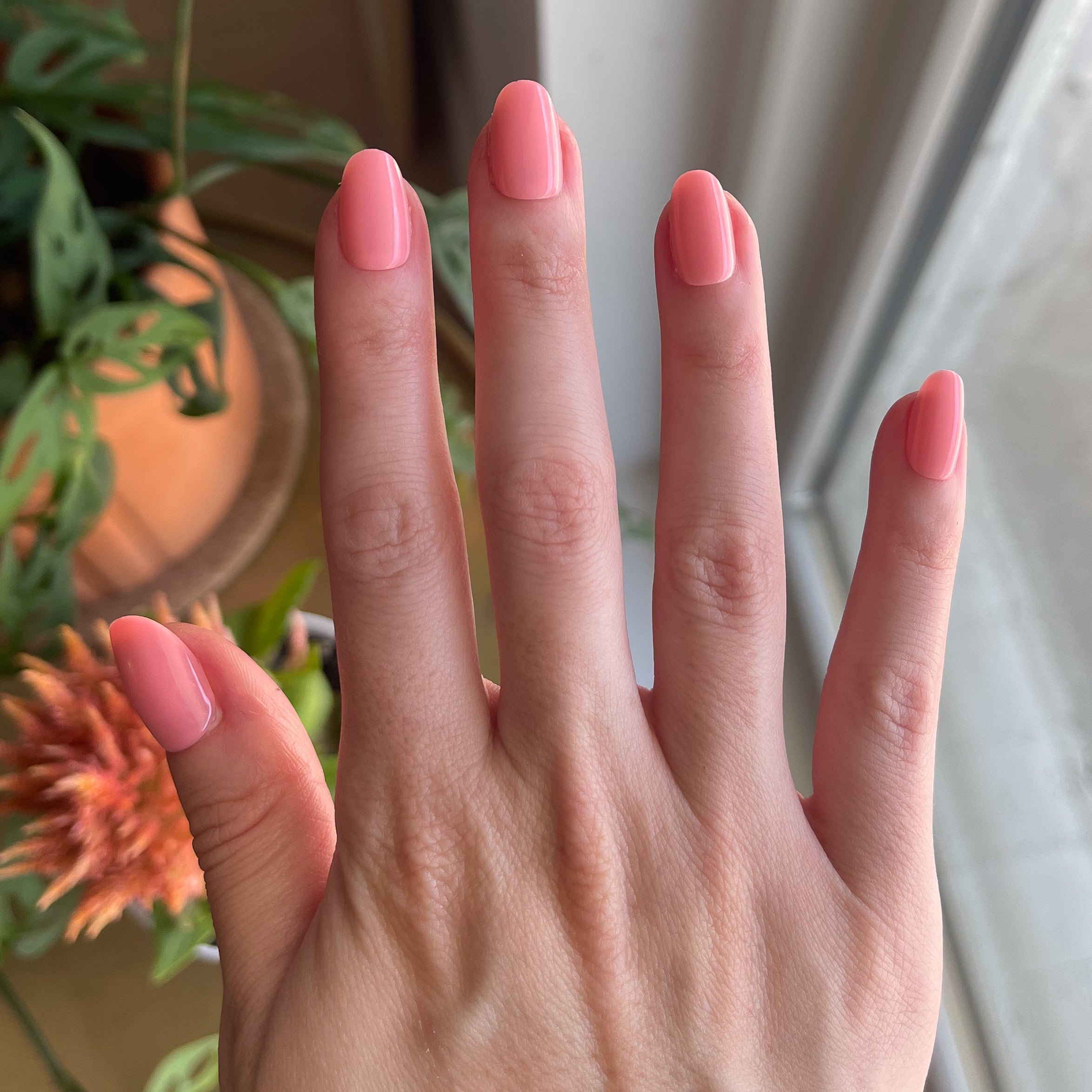 Pen Pal - Press-On | Short | Round、mySite、solidvoid