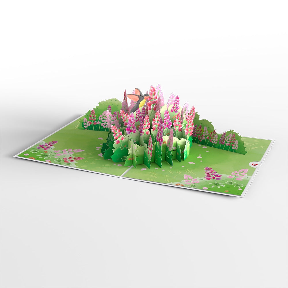 Lupine Hummingbird Valentine's Day Pop-Up Card、mySite、solidvoid