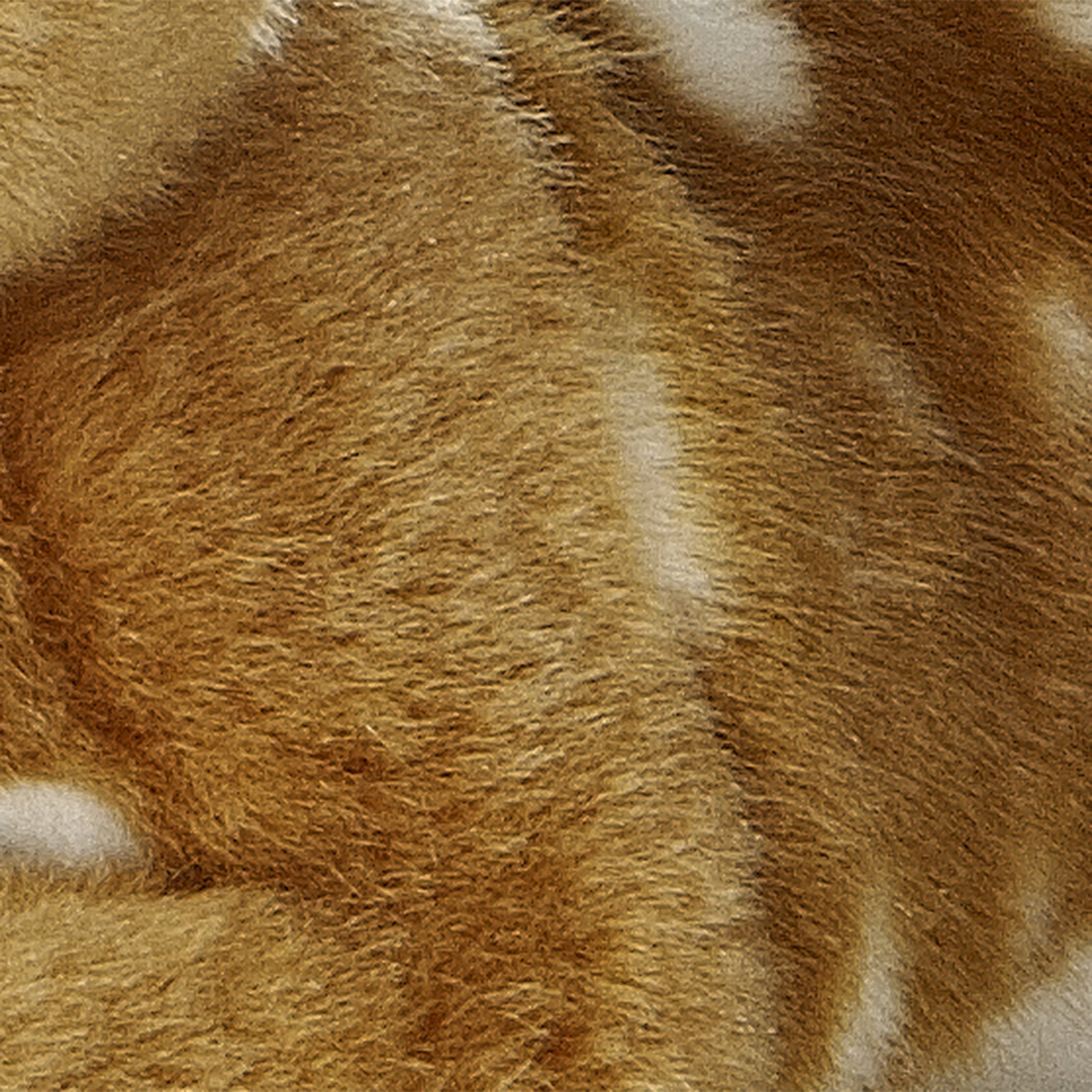 Aurora® - Miyoni® - Fawn、mySite、g9winljtr