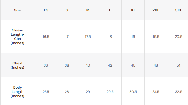 2024 NHL All Star Northern Star Tee