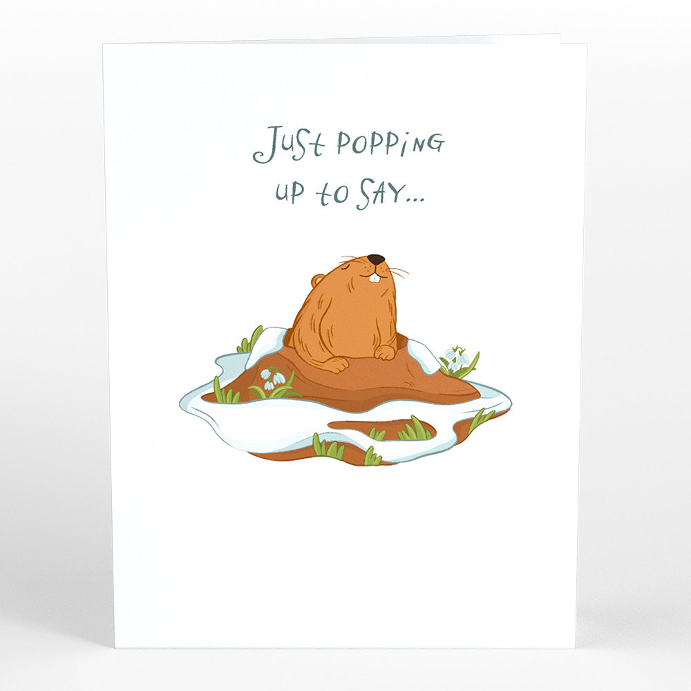 Happy Groundhog Day Card with Pop-Up Gift、mySite、solidvoid