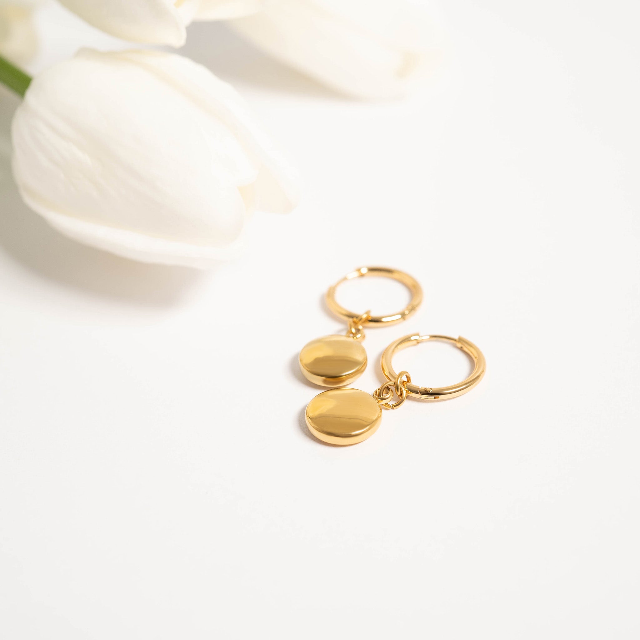 18K Gold PVD Stainless Steel Circle Coin Pendant Earrings / ERJ0049、mySite、dreamappss