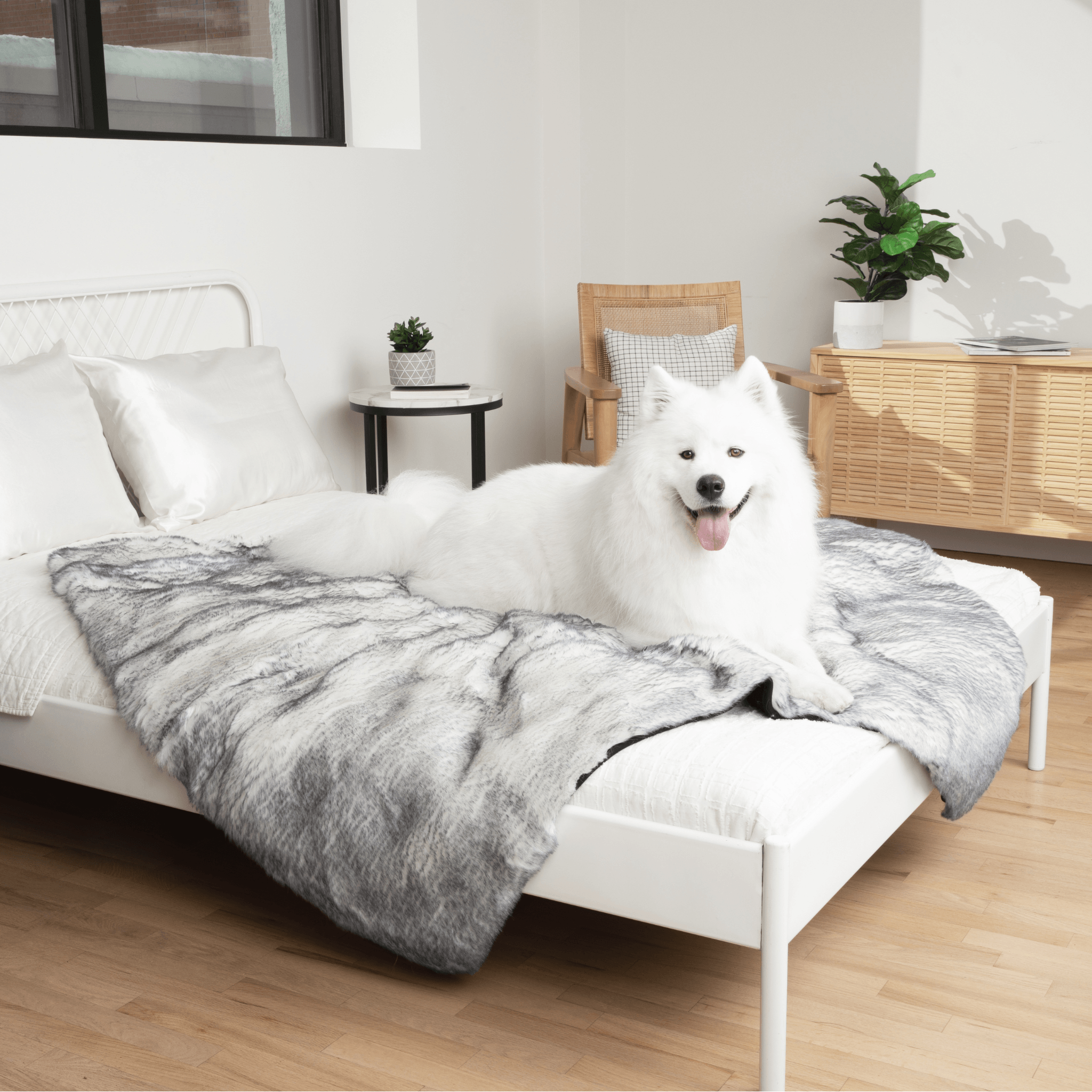 PupProtector™ Luxe Waterproof Faux Fur Blanket - Ultra Plush Arctic Fox、mySite、solidvoid