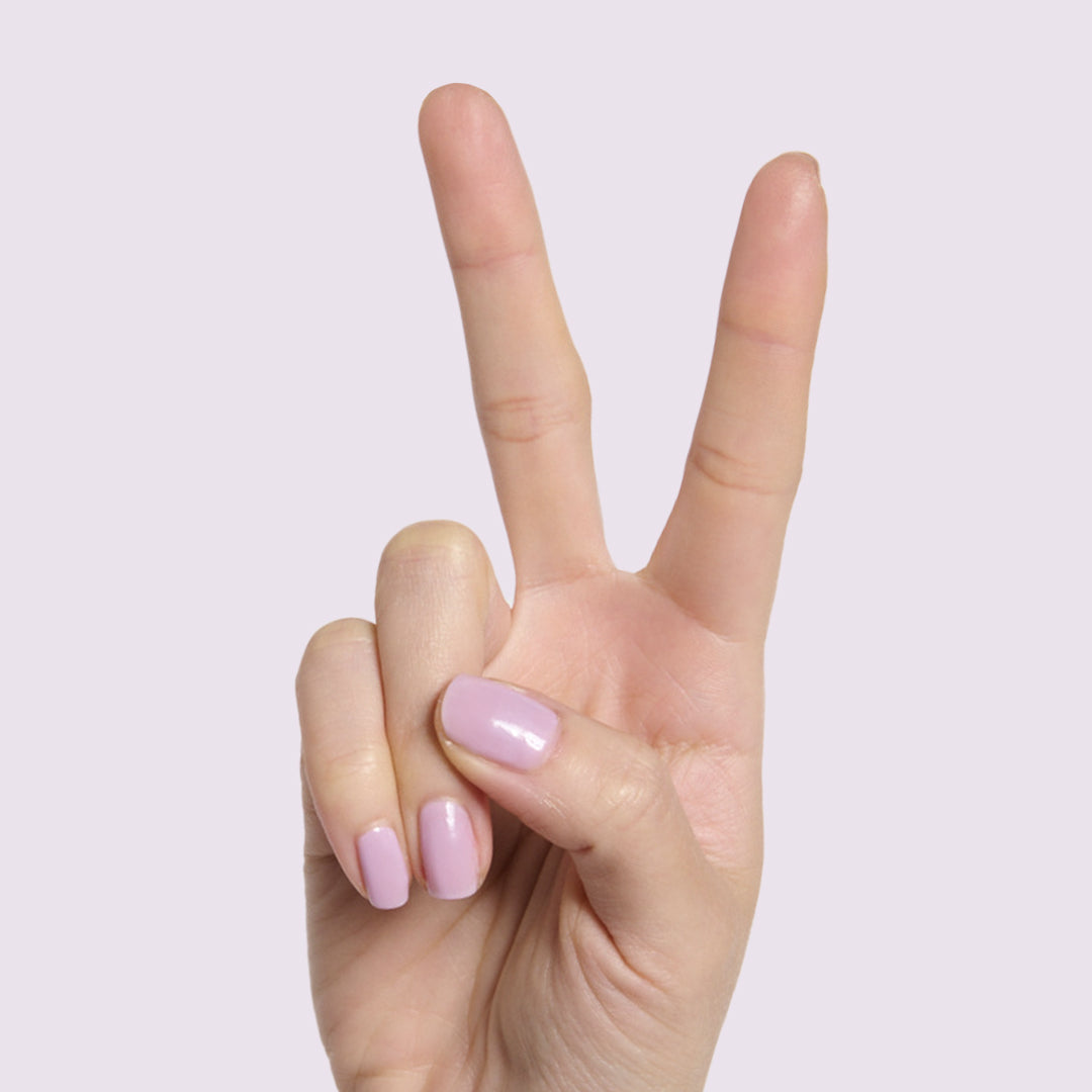 Lavender Stems、mySite、solidvoid