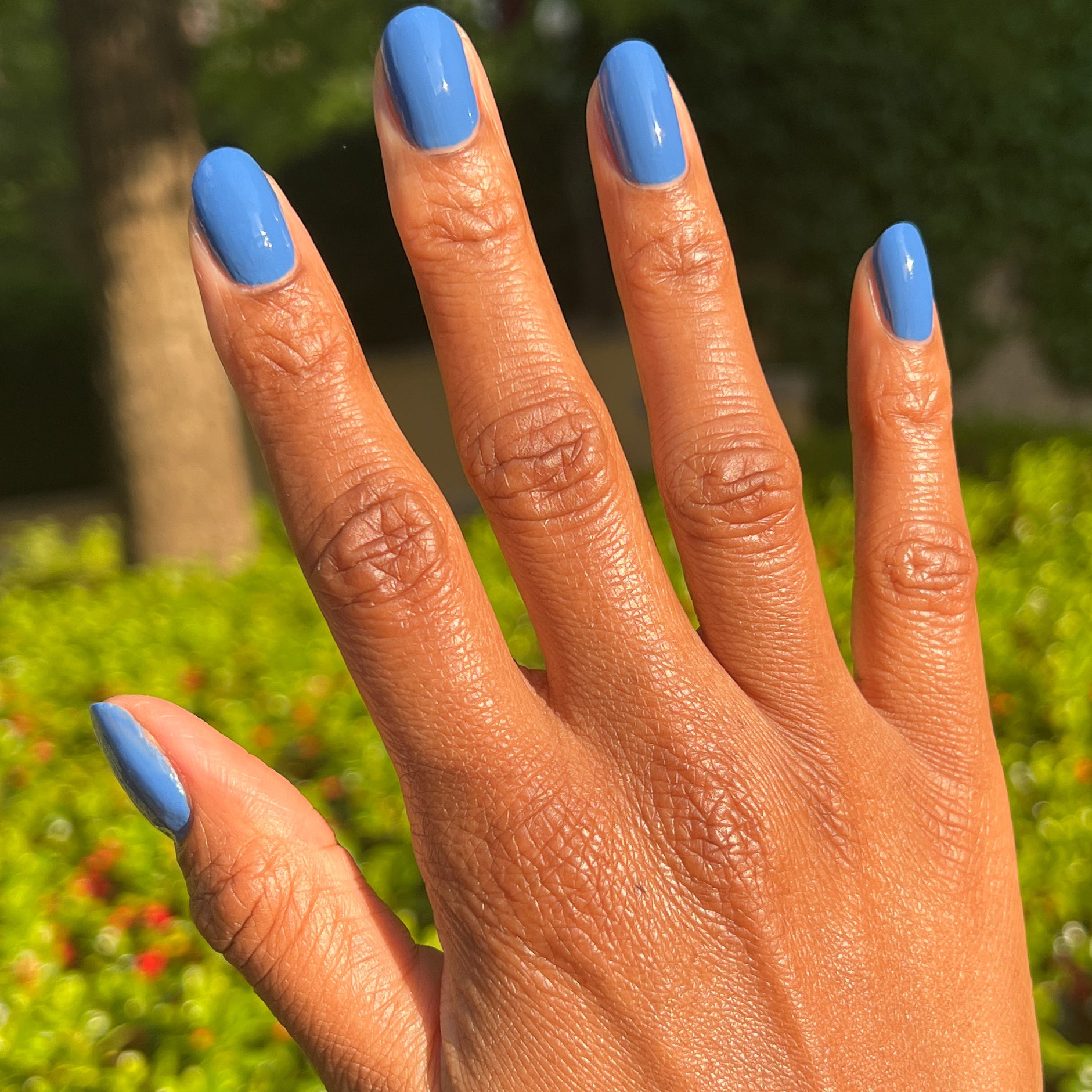 Blue Canoe、mySite、solidvoid