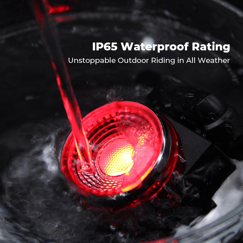 Anti-Theft Alarm Taillight、mySite、gigharbornorthrealestate