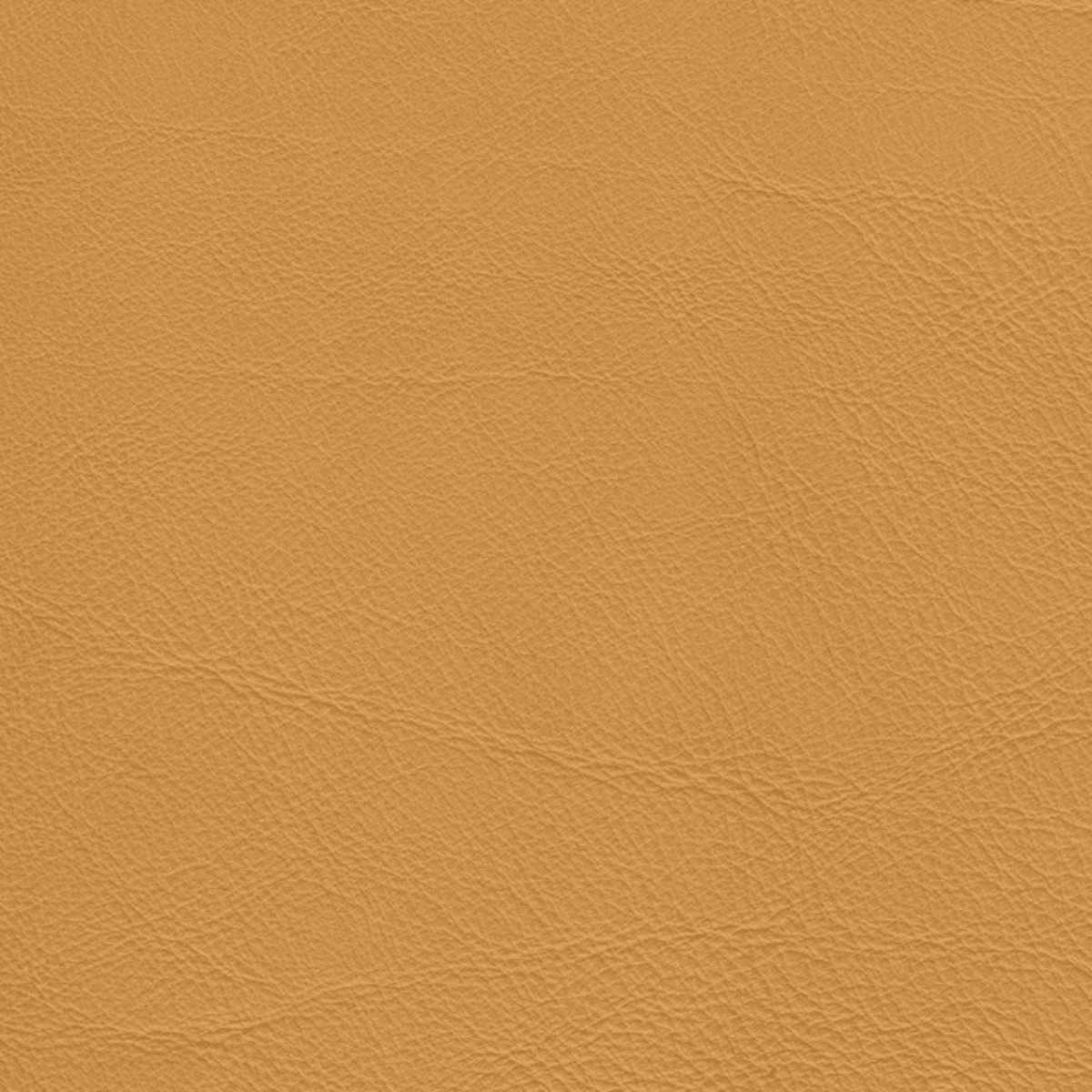 Yellow、mySite、neckold