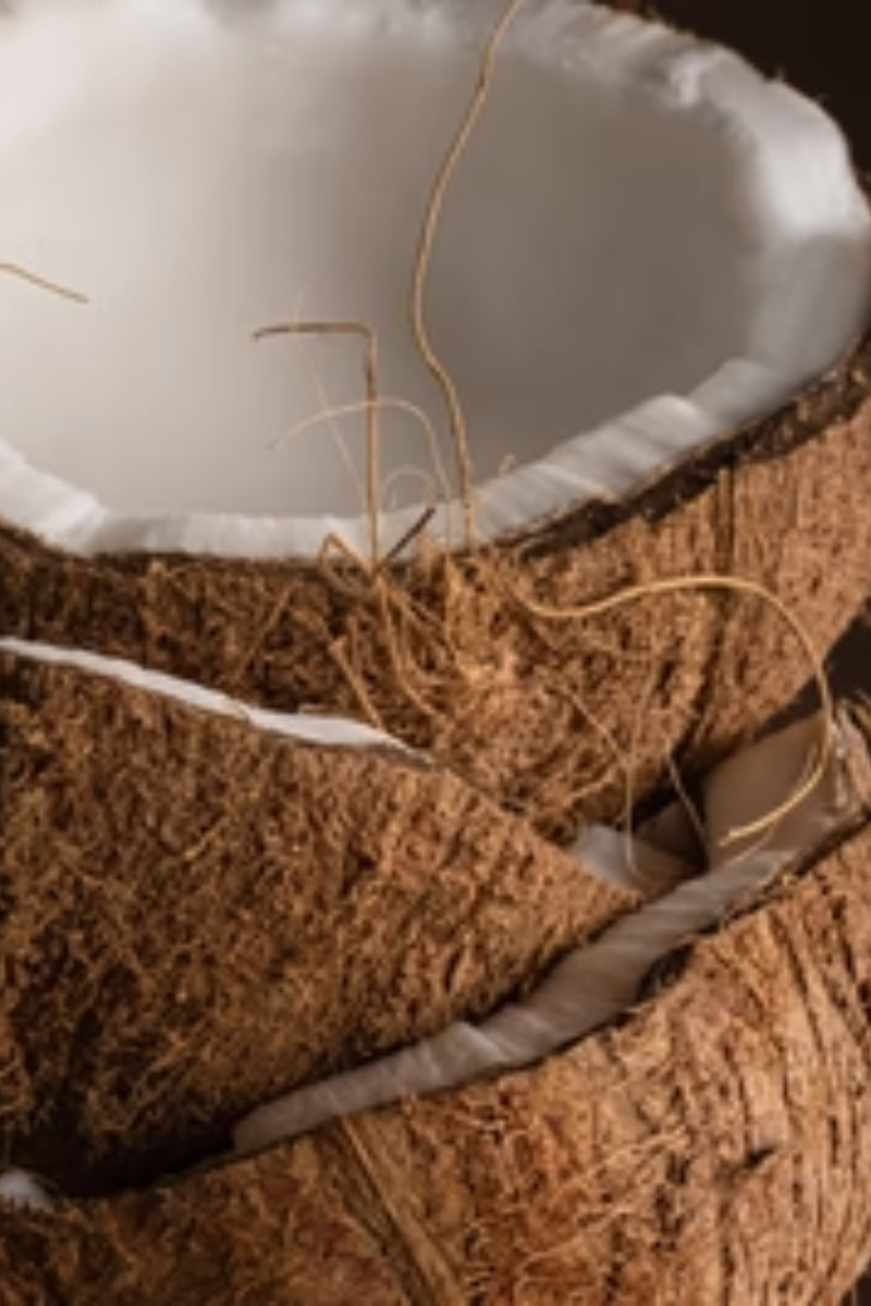 Pura Fragrance Refill - Coconut Sugar (Mersea)、mySite、hinf8tx79