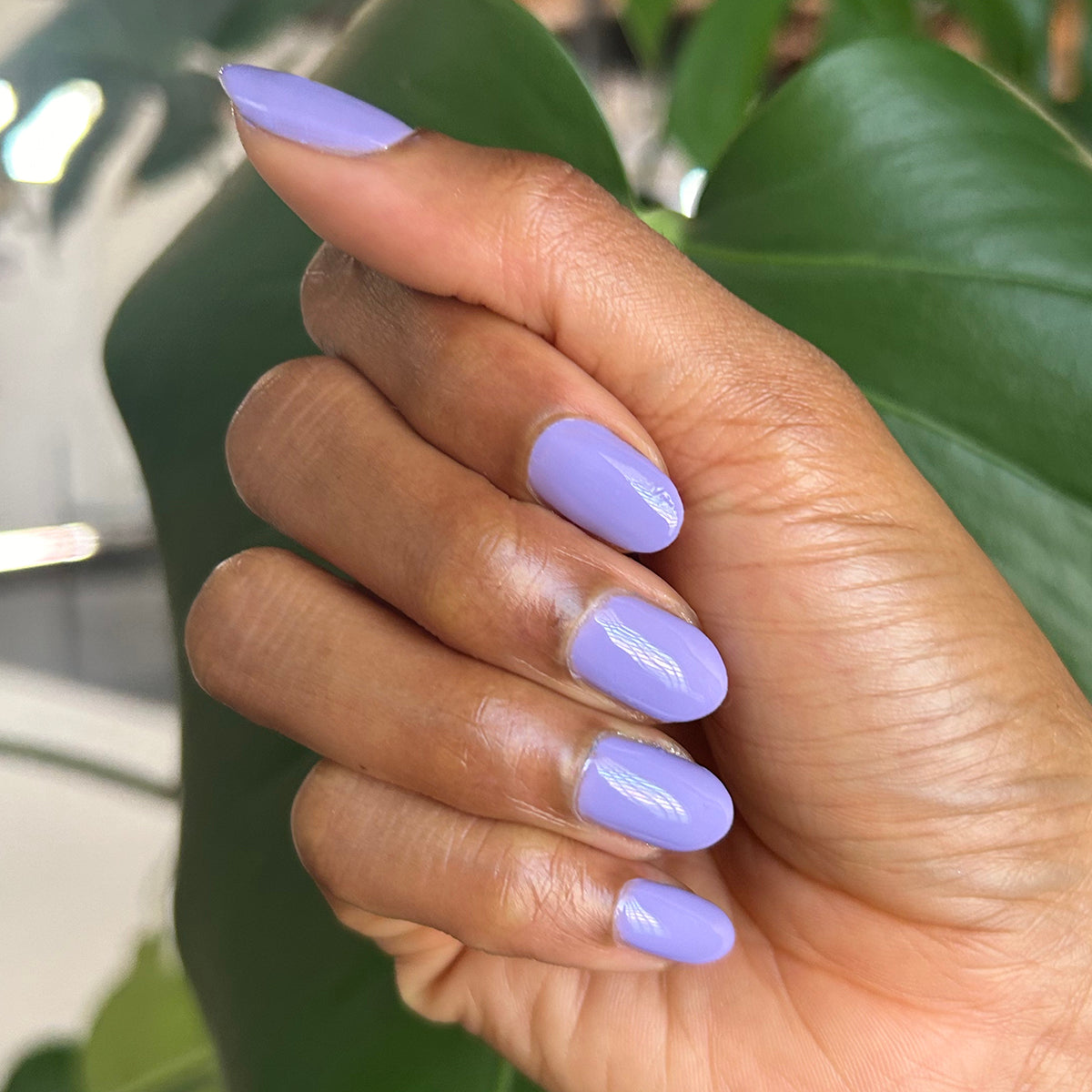 Bold & Unshaken - Gel、mySite、solidvoid