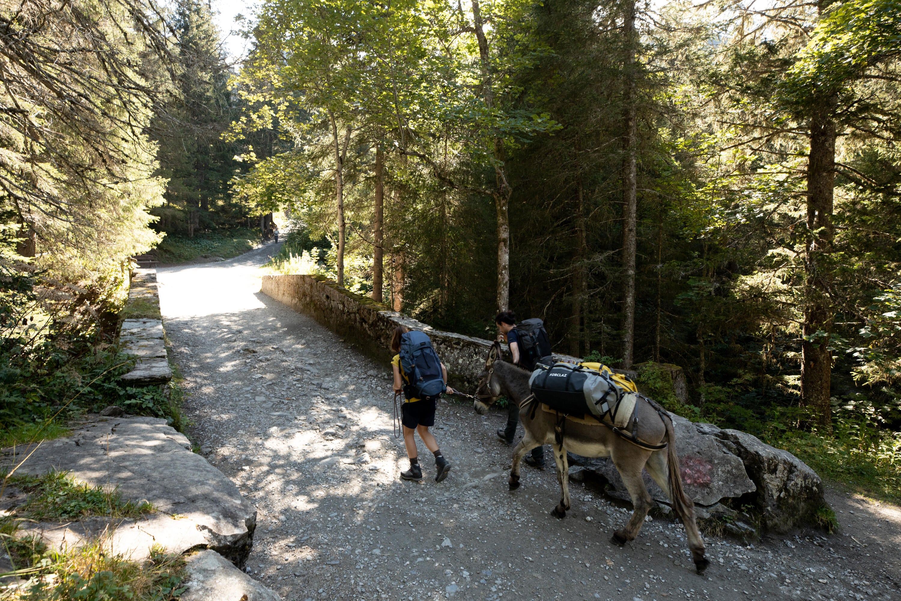 Forclaz 500 Extend 80-120 L Duffel Bag、mySite、neckold