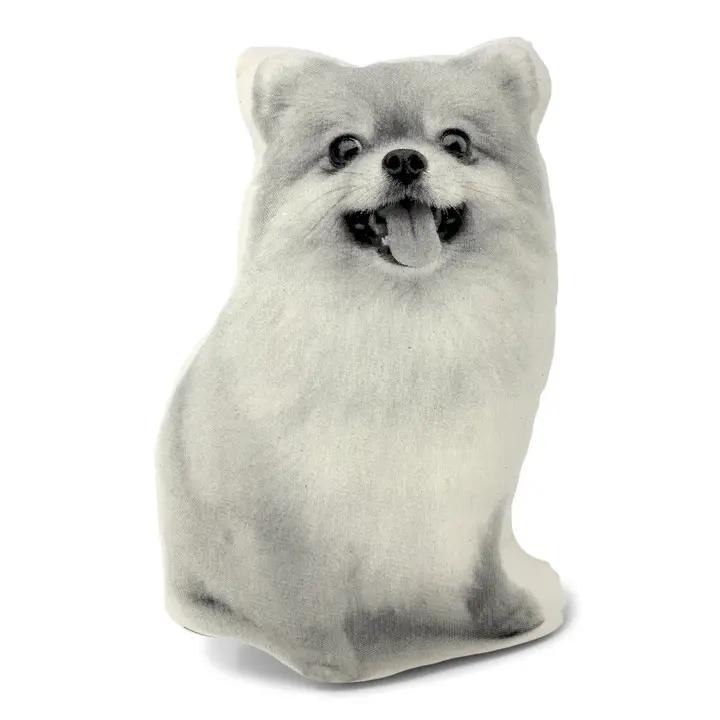 Pomeranian Pillow、mySite、g9winljtr