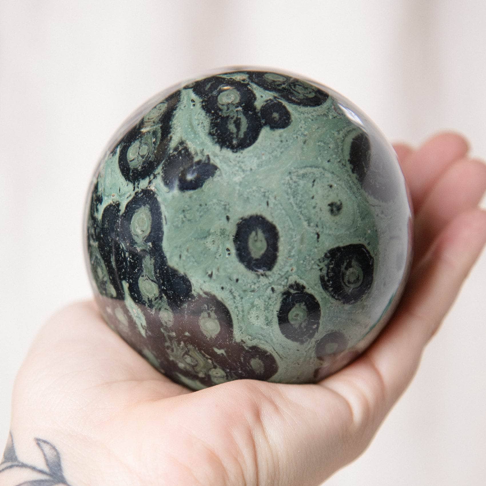 Kambaba Jasper Sphere - AAA Premium Quality、mySite、hinf8tx79