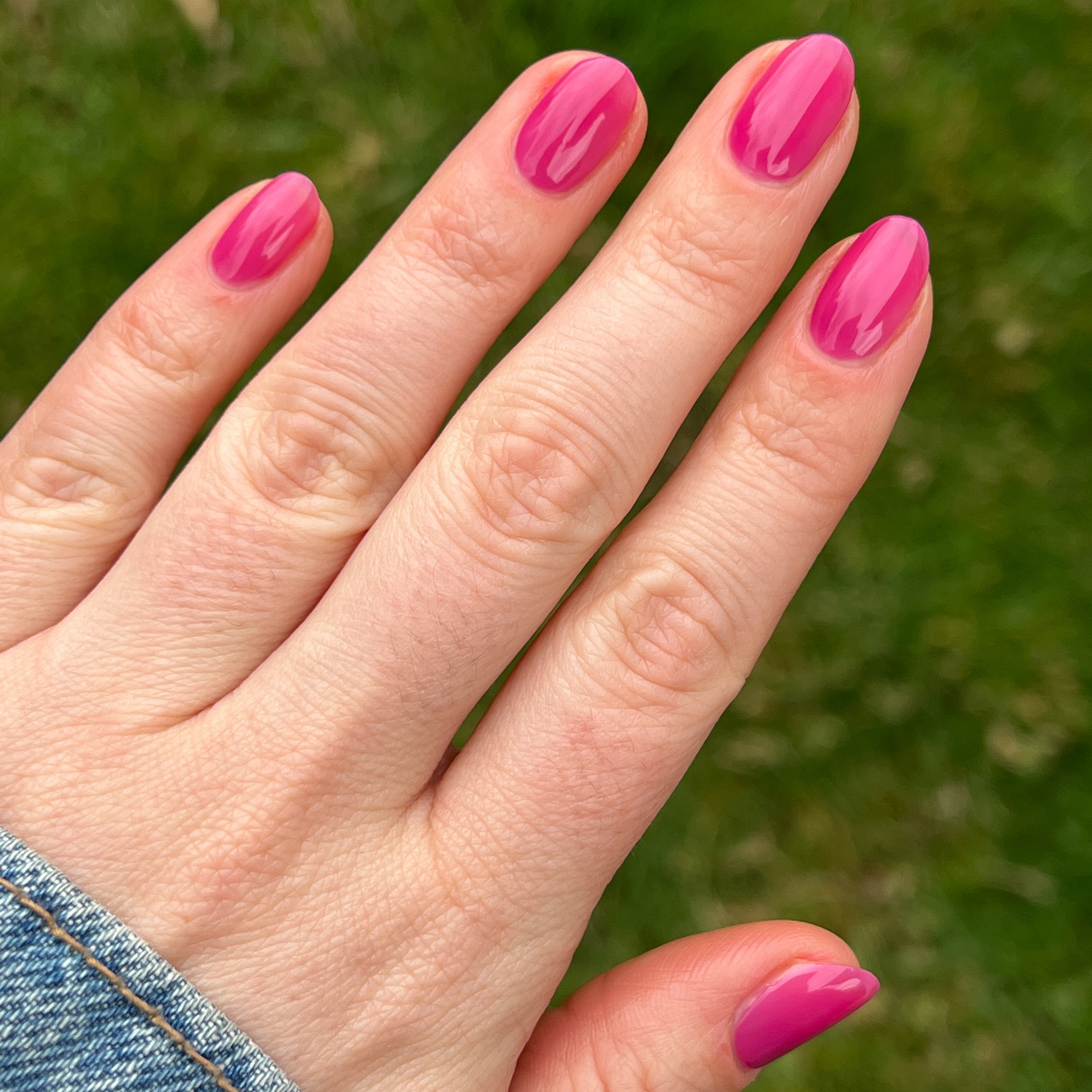 This Lettuce is Radicchio、mySite、solidvoid