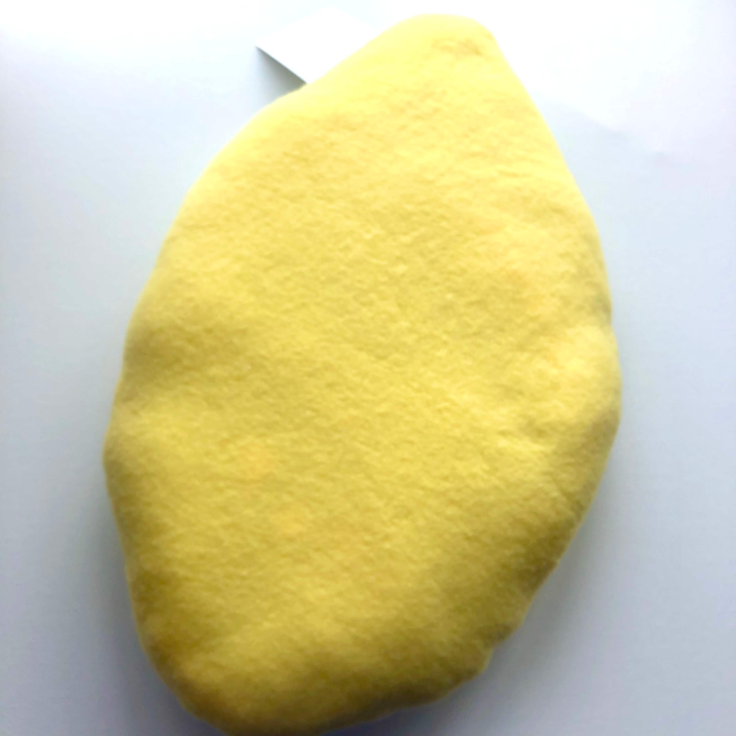 Etrog the Sukkot Plush Pillow by Fresh Crayons、mySite、topwebapps