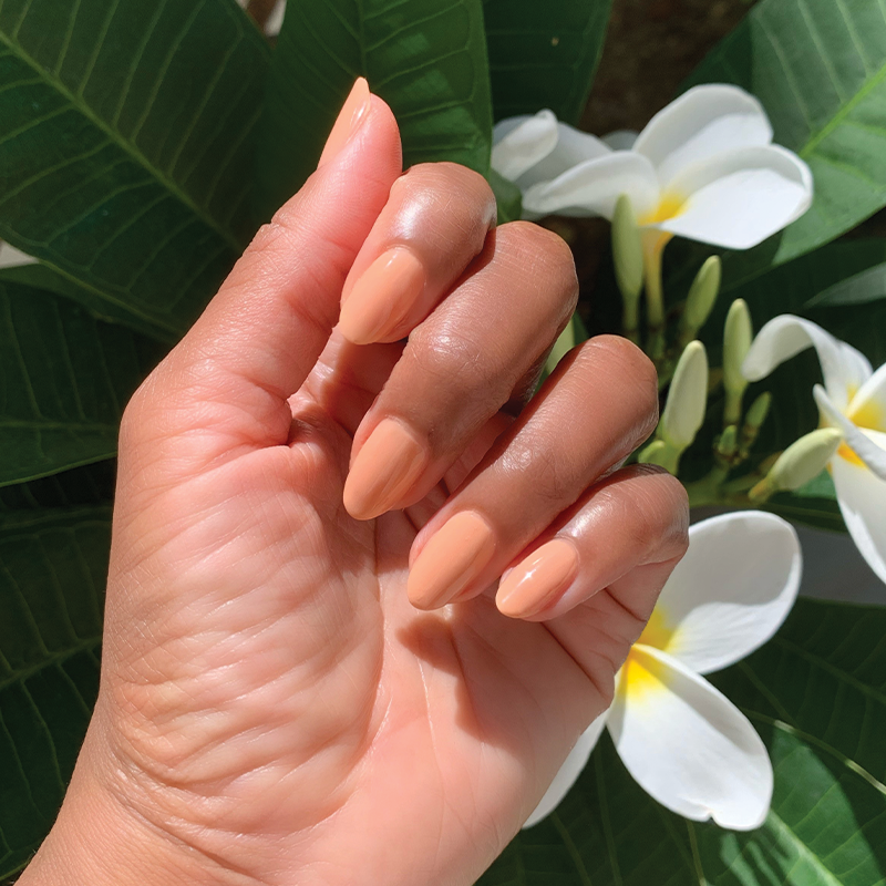 JO、mySite、solidvoid