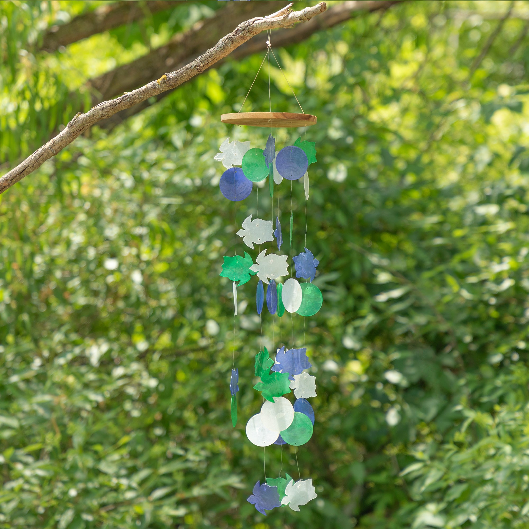 Aqua Blue Capiz Wind Chime、mySite、camillekostekn