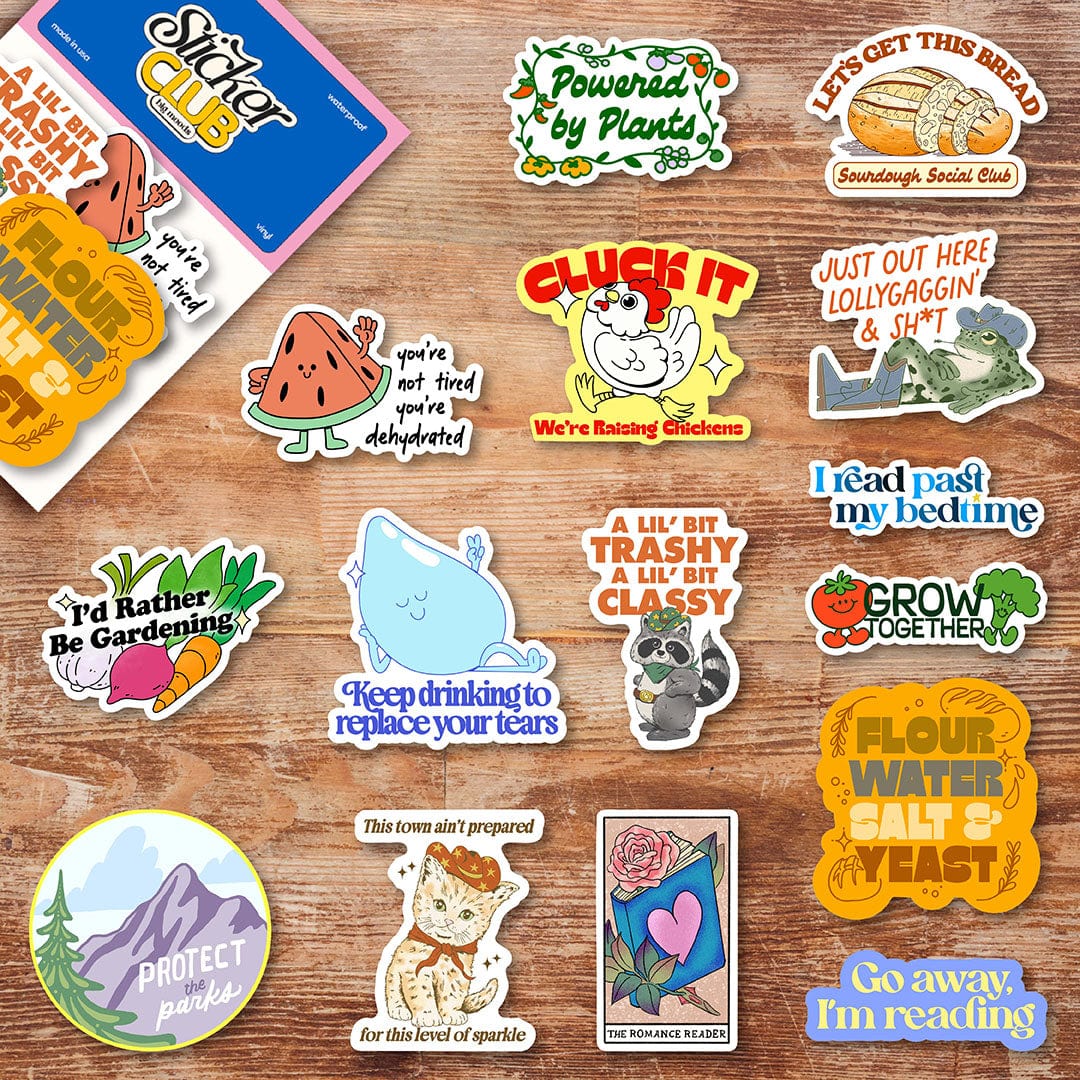  The Best Sticker Subscription Box from Big Moods、mySite、elrpsem3k