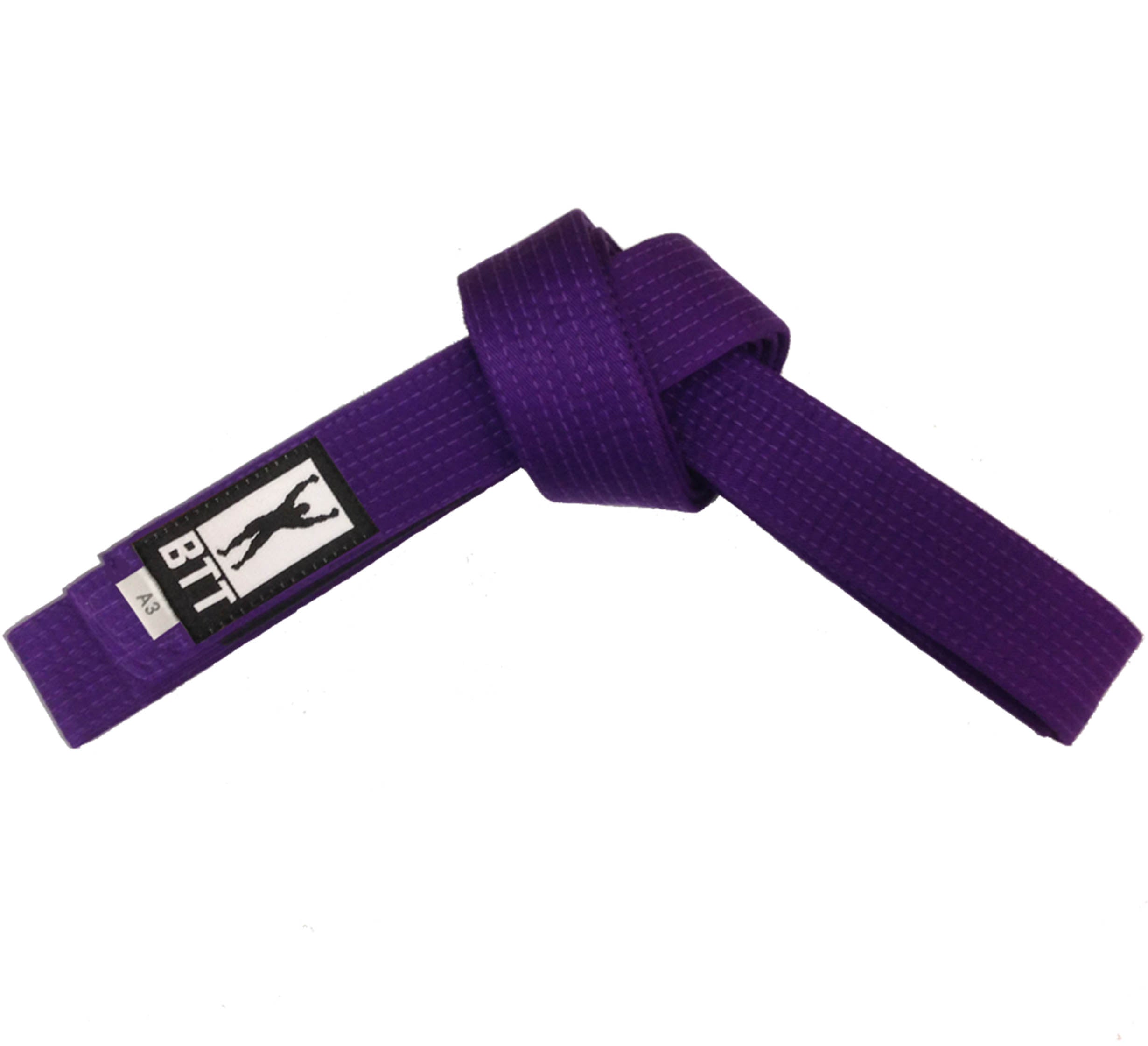 BTT Belt Purple、mySite、gigharbornorthrealestate