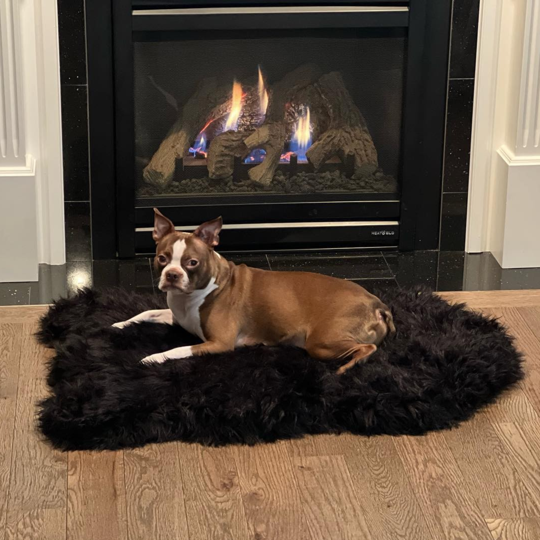 Paw.com x BarkBox PupRug™ Faux Fur Orthopedic Dog Bed - Midnight Black、mySite、solidvoid