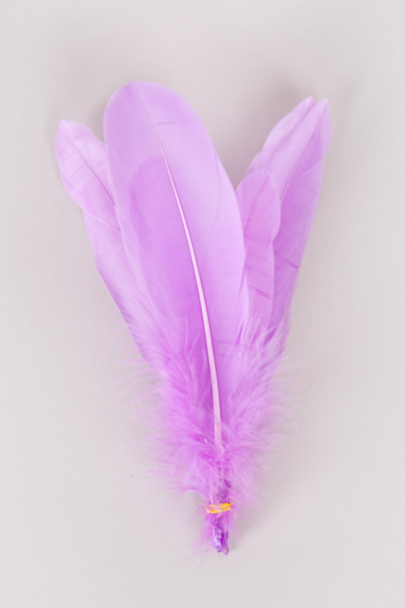 Goose Feathers Bundle of 6 - Yellow Rubber Band - FINAL SALE、mySite、hinf8tx79